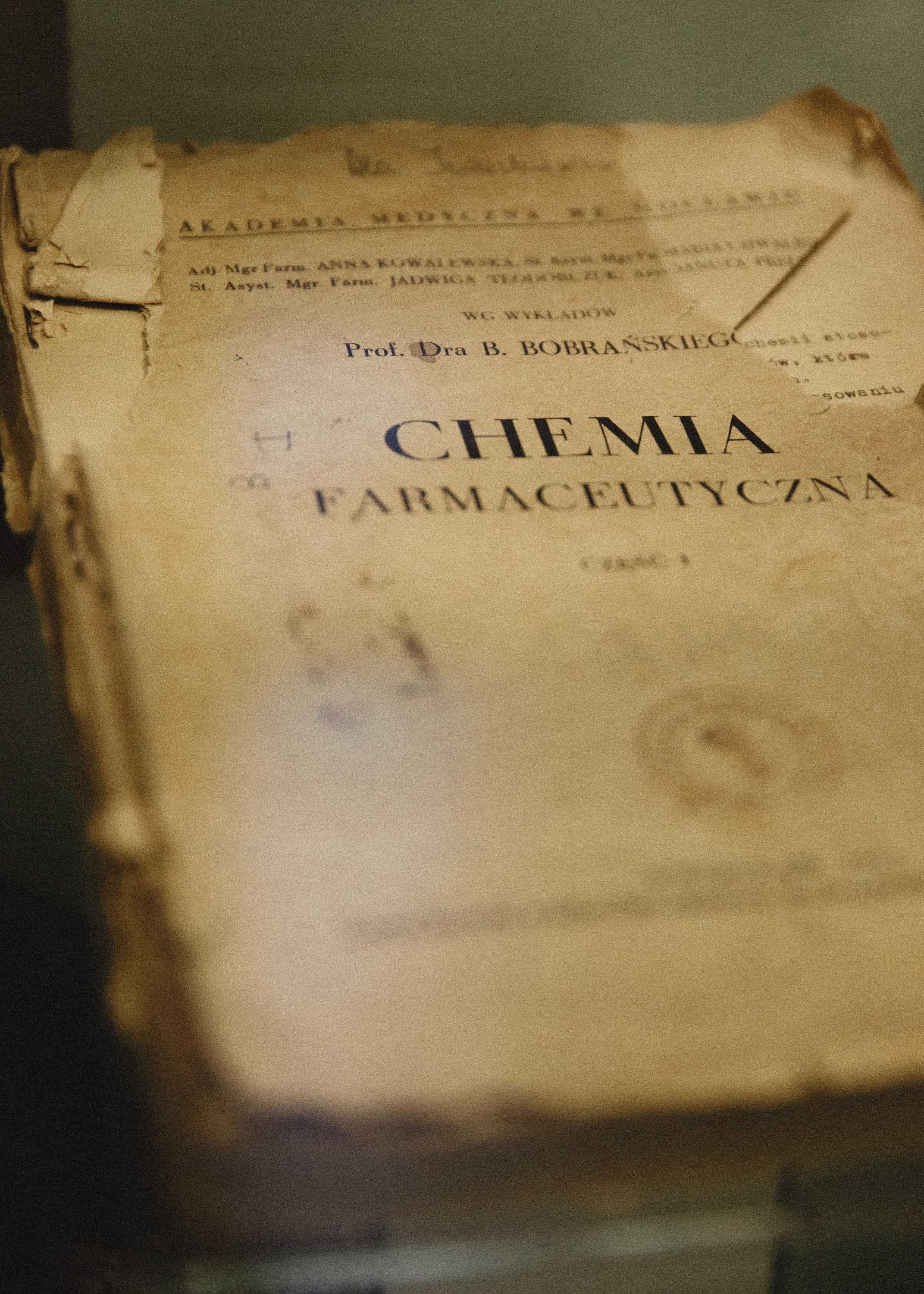 Museum of farmacy in Wroclaw. Kaja | fotograf we Wrocławiu | ludzie i psy