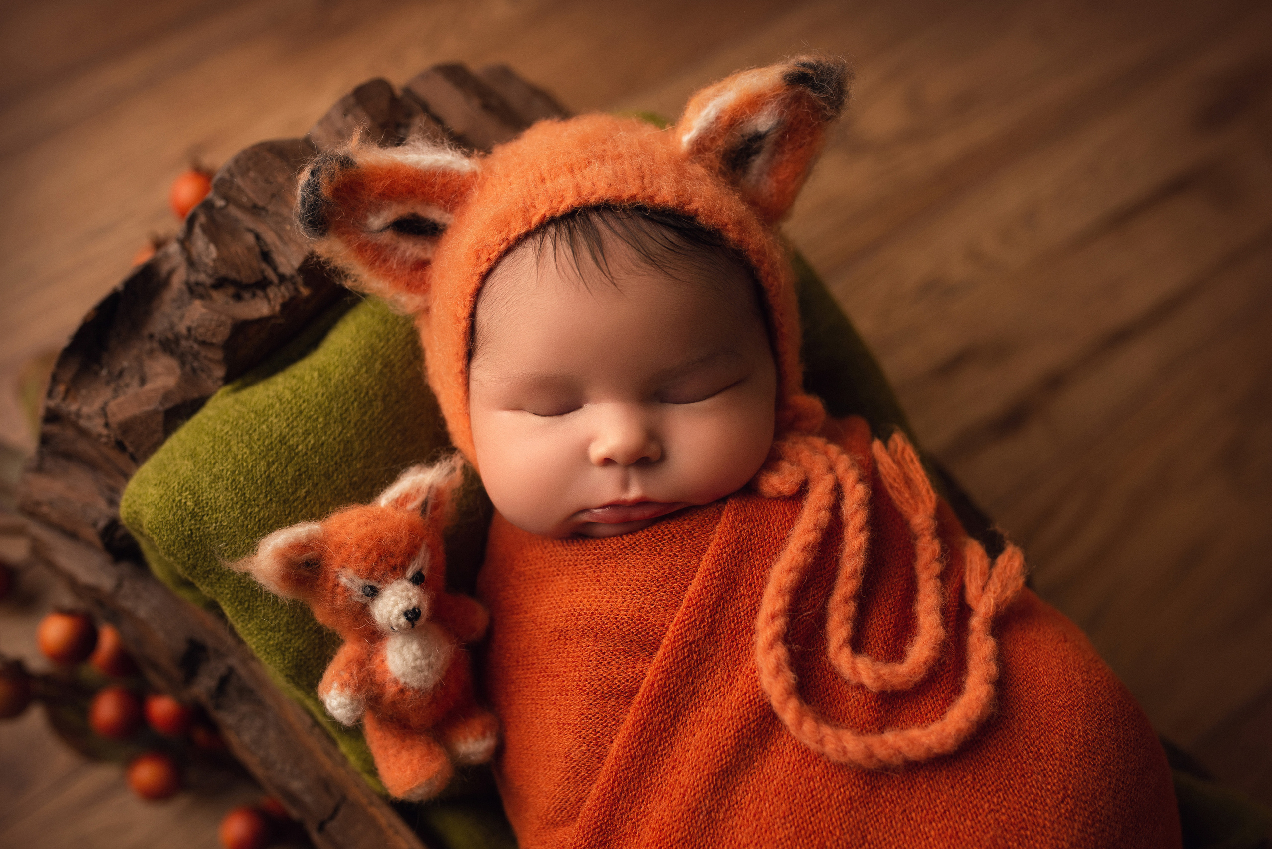 Ottawa Newborn and Baby Newborn Photographer Elena Helali