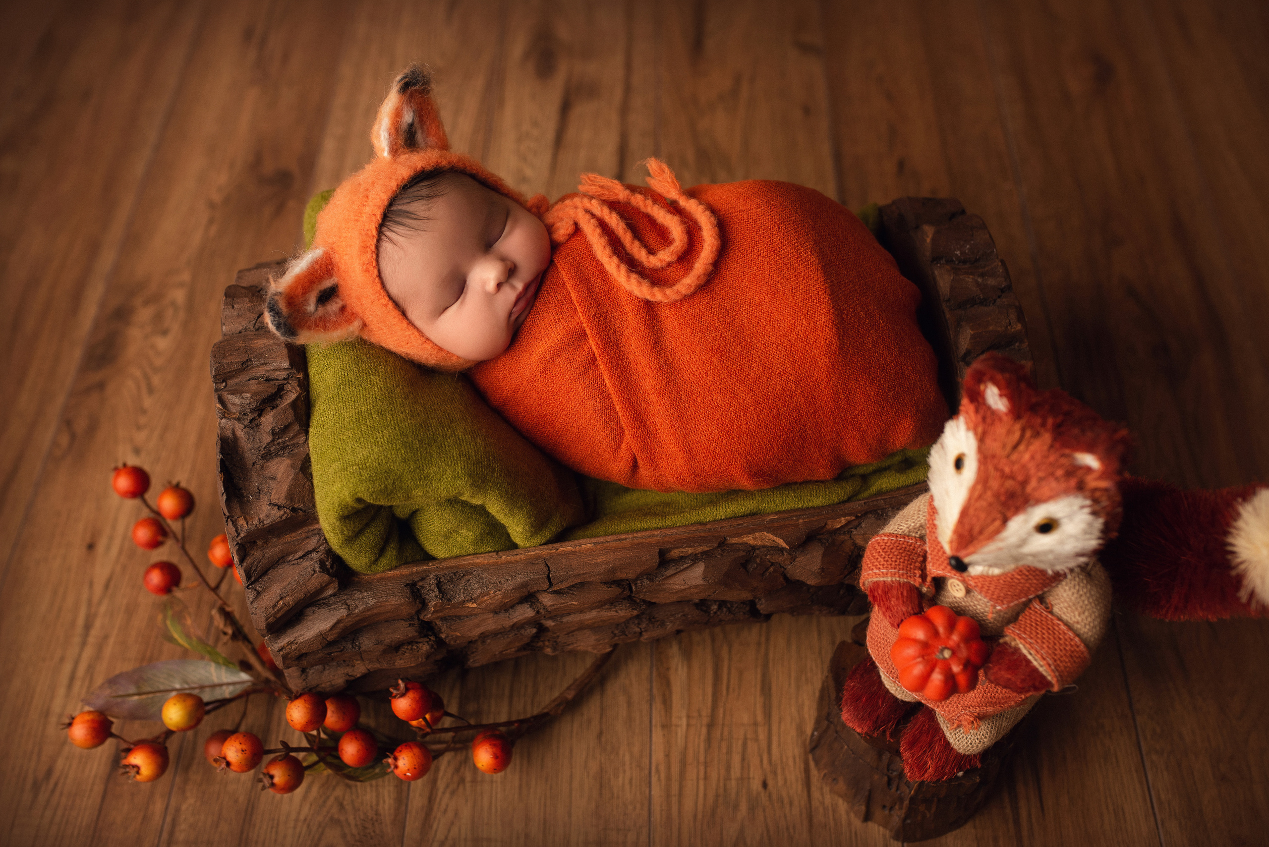 Ottawa Newborn and Baby Newborn Photographer Elena Helali