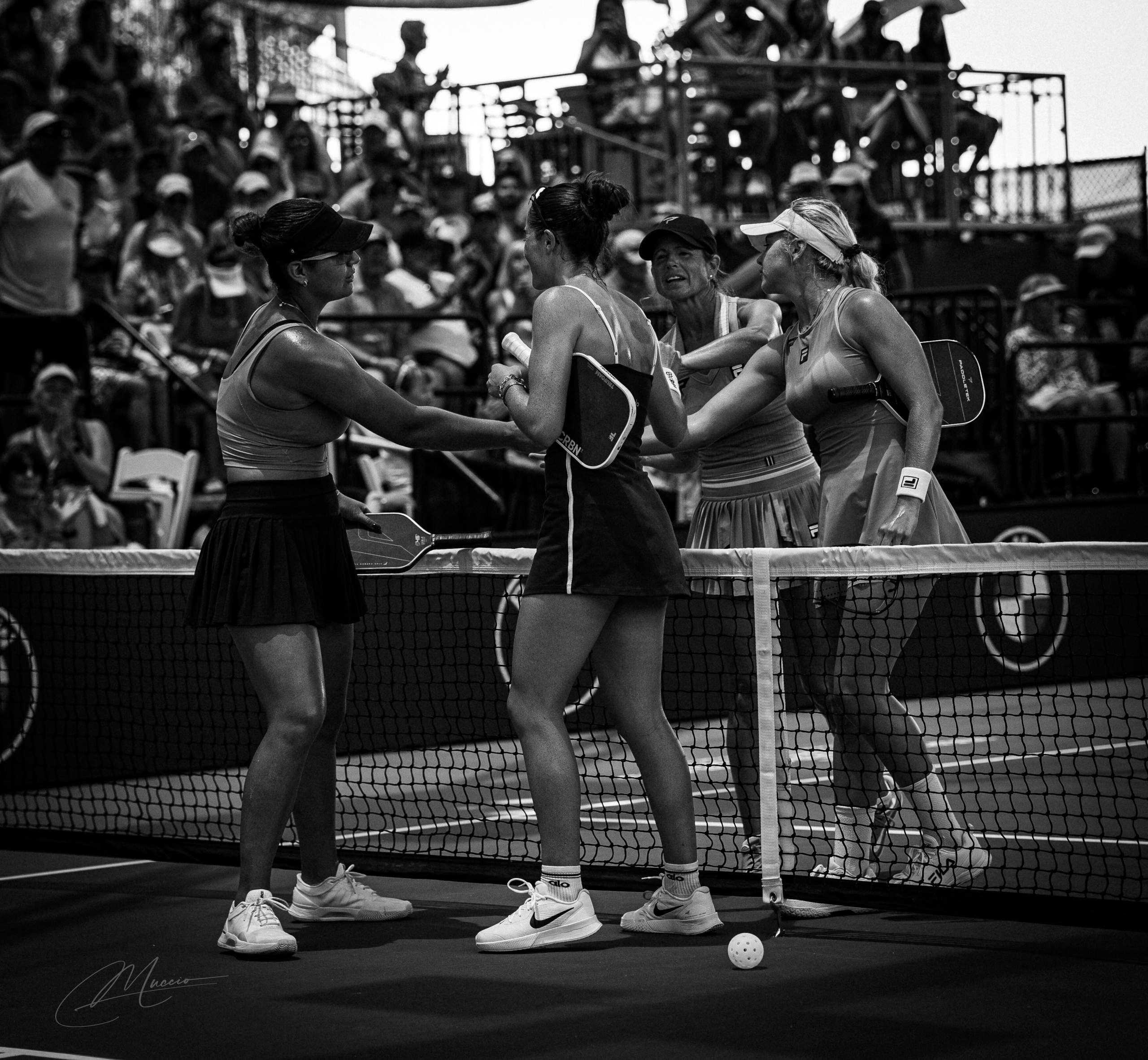 Portraits — Assorted. Out and About 239