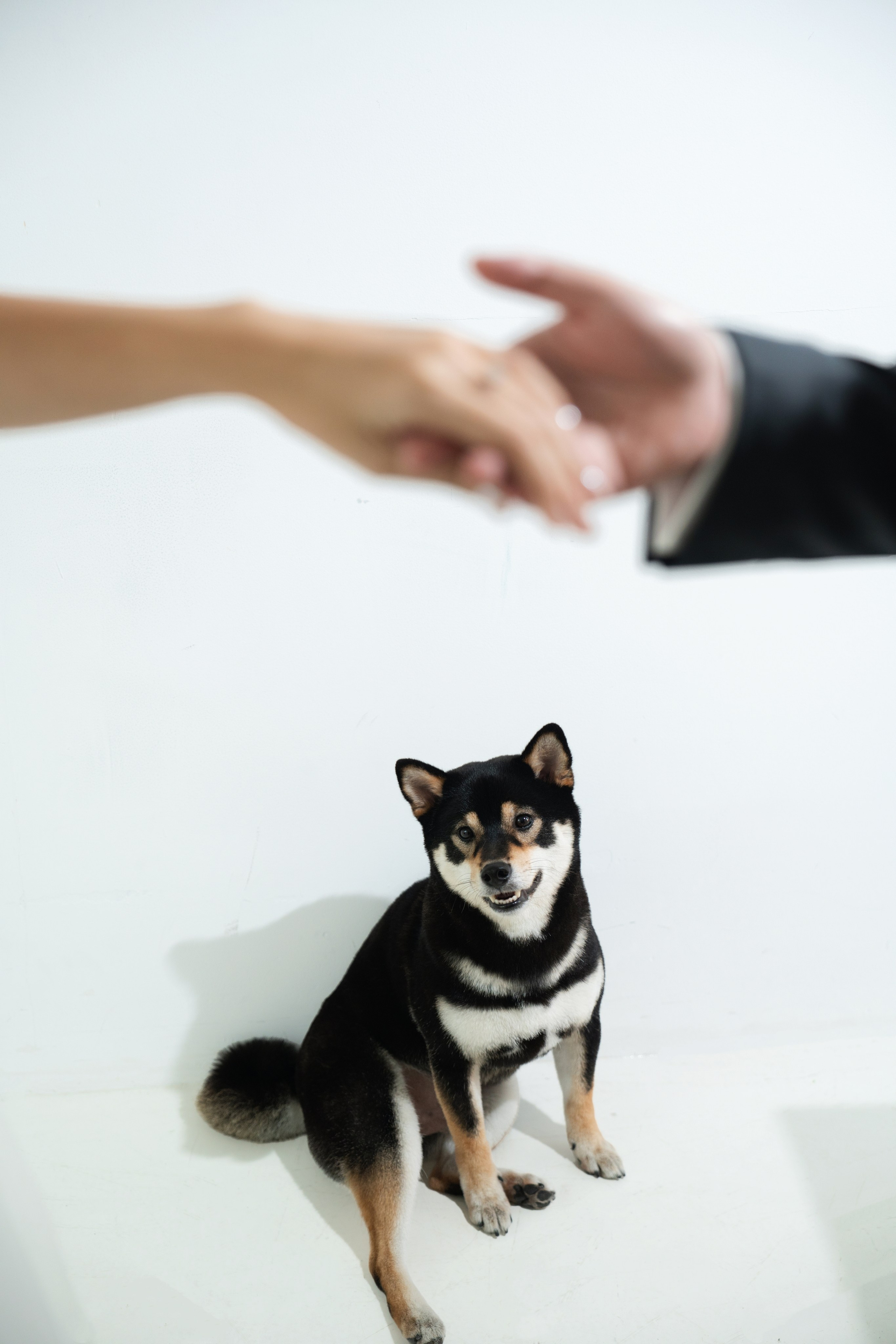 D & K. TheLoveMuseum