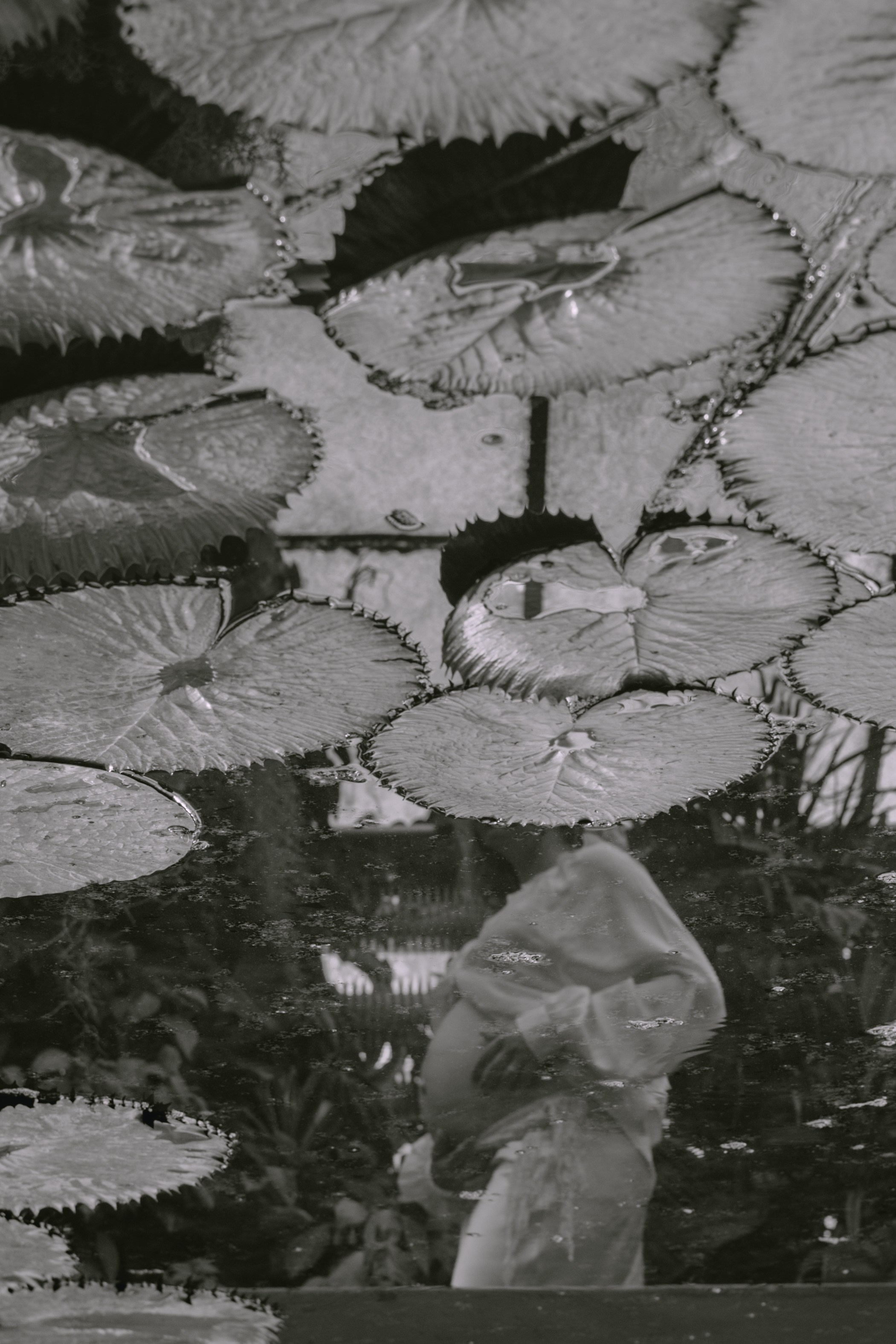 Ксения. Портретный фотограф в Братиславе и Вене Полина Богомолова