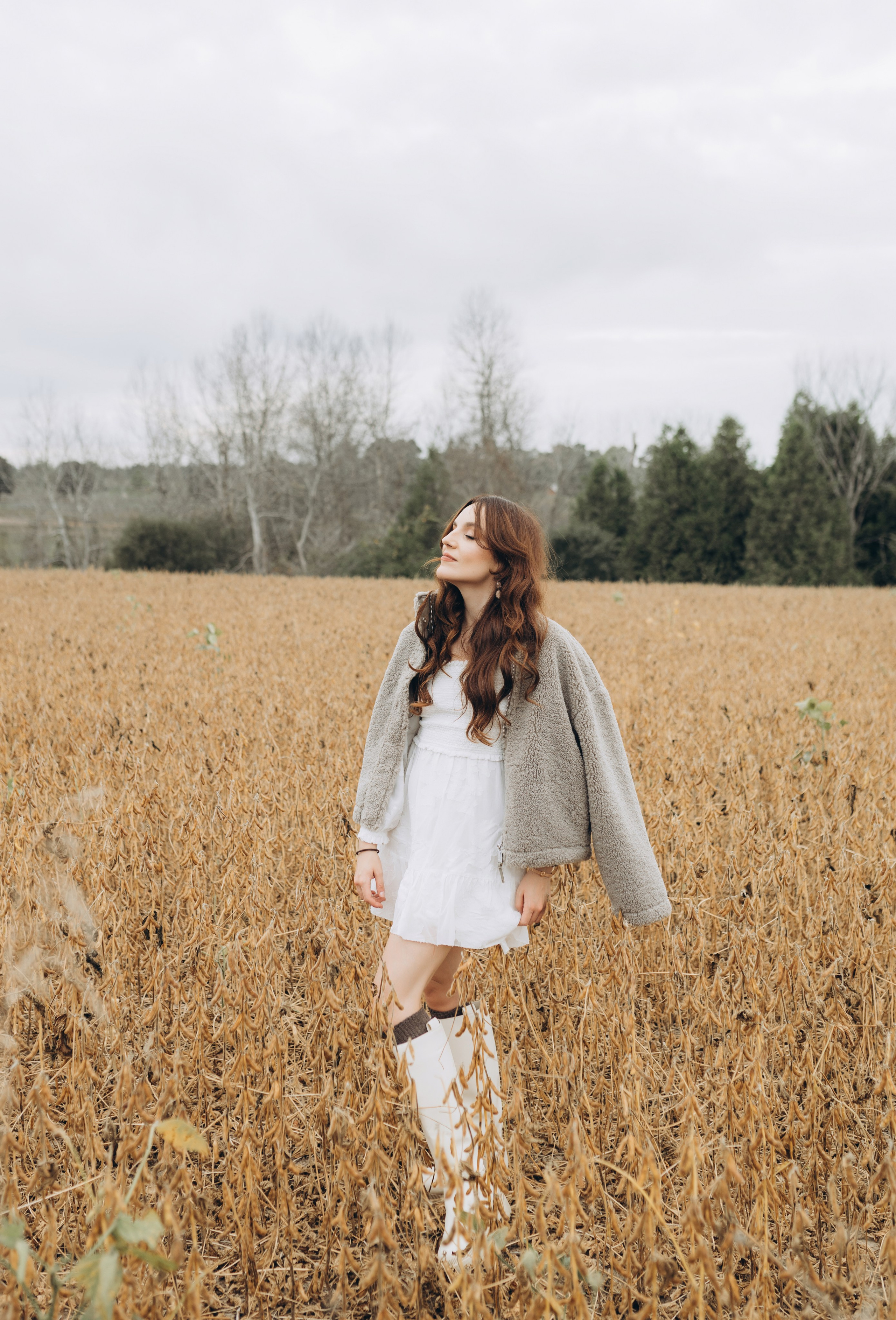 Alpacas Farm. Chernenko.photography