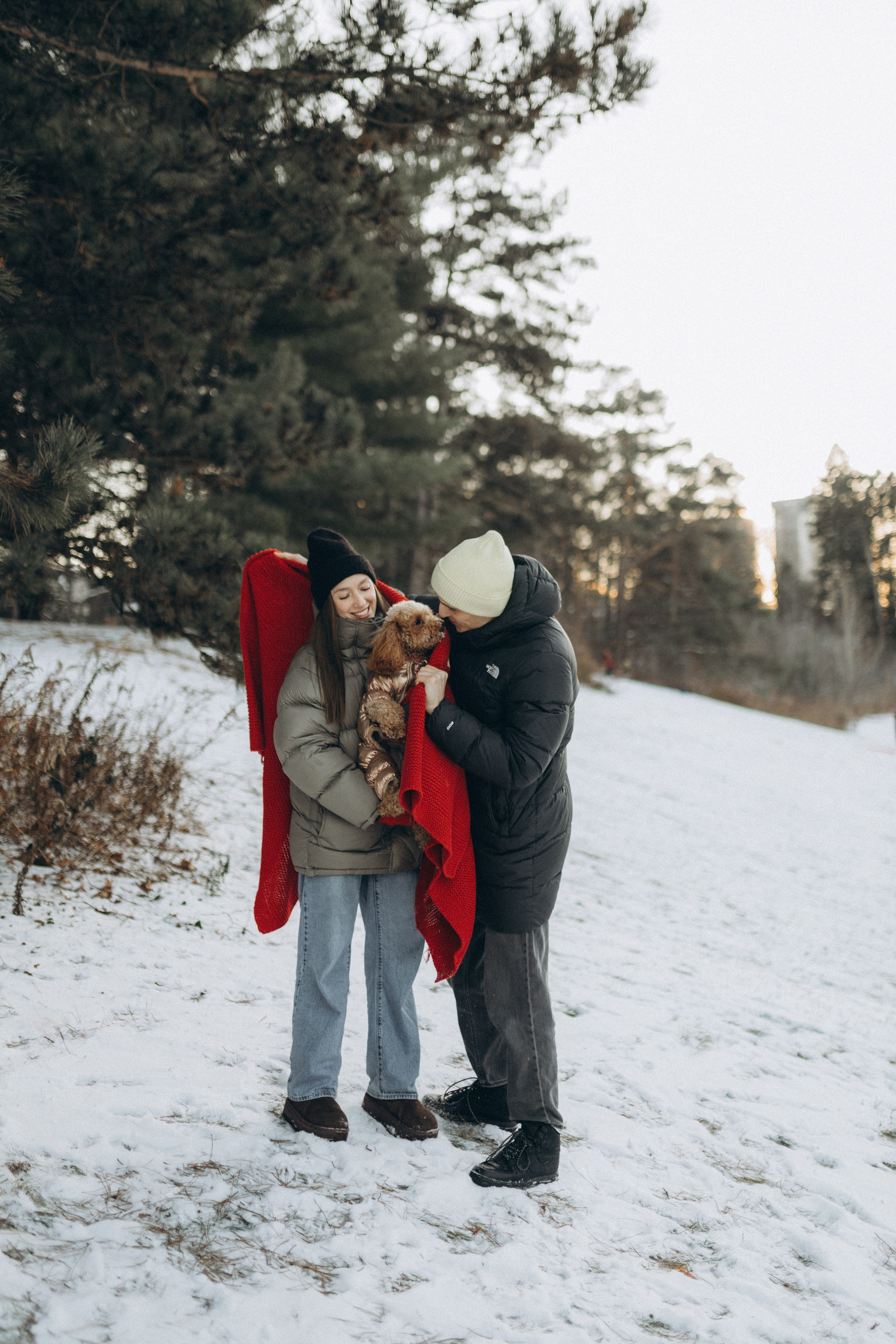 Winter magic. Chernenko.photography