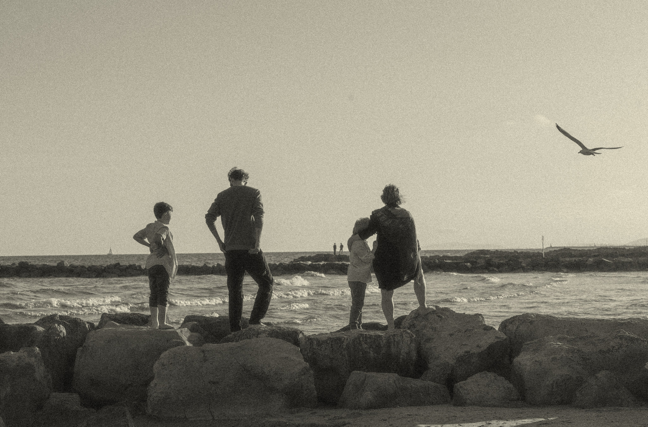 Memories. Histoires d’amour, séances photos de famille et de mariage en France
