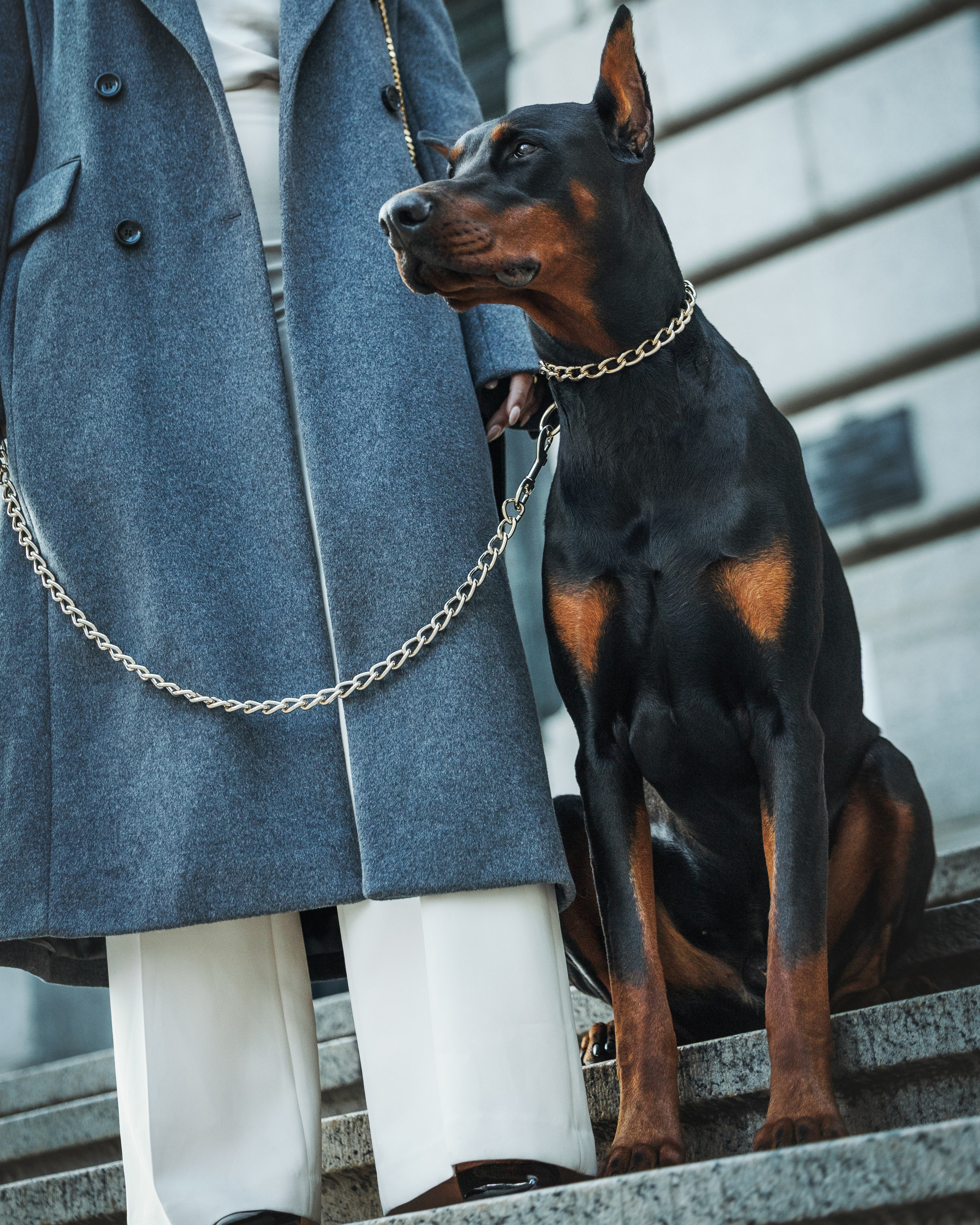 Enzo & Victoriya. Pet Photographer Viktoriya Aleshenko