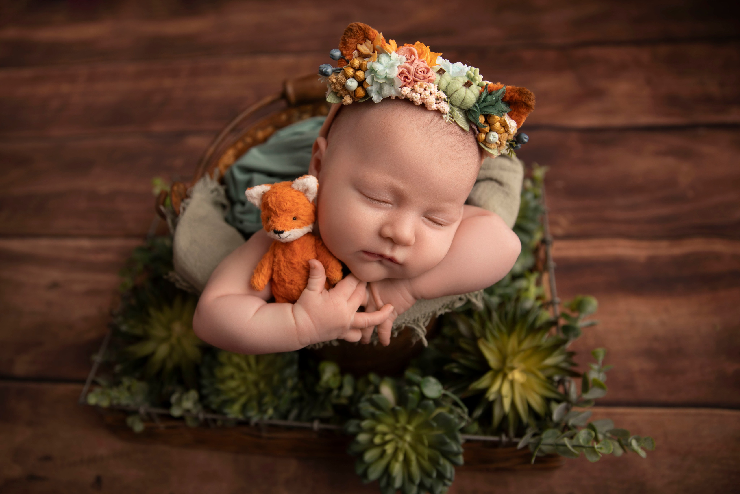 Portfolio. TKphotography.uk