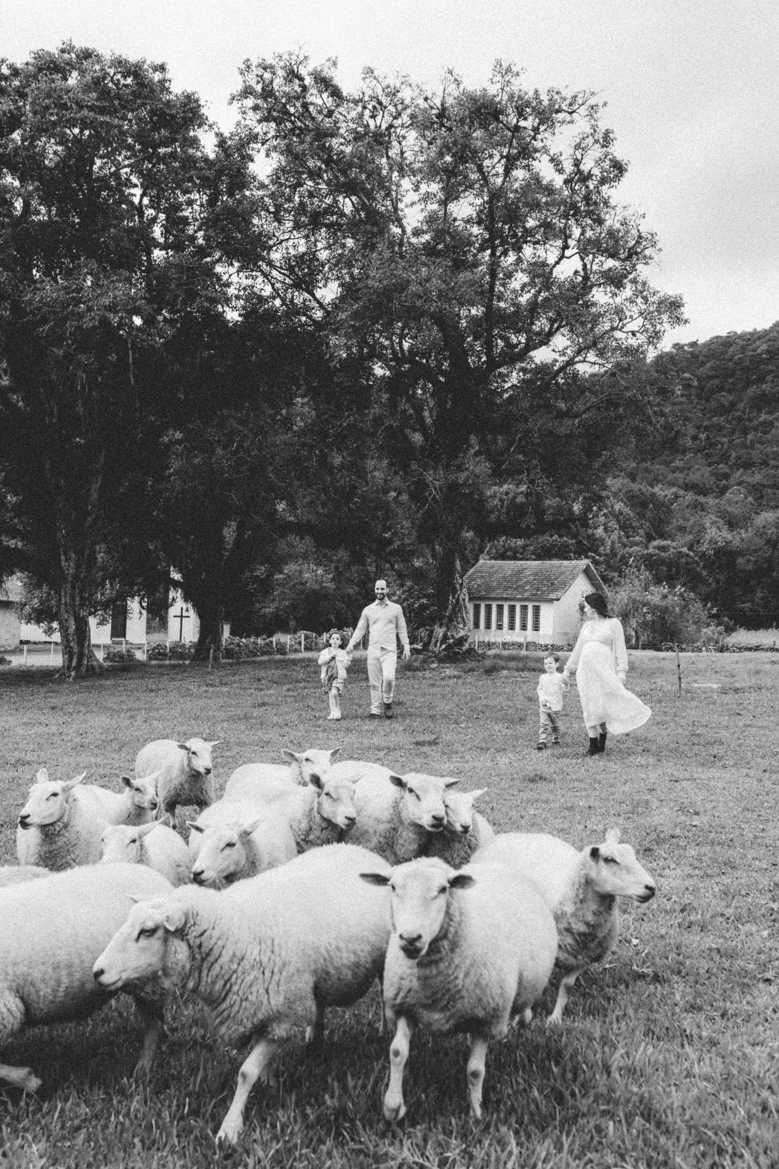 Lídia Cabral Fotografia | Fotógrafa de casais e famílias em Gramado RS
