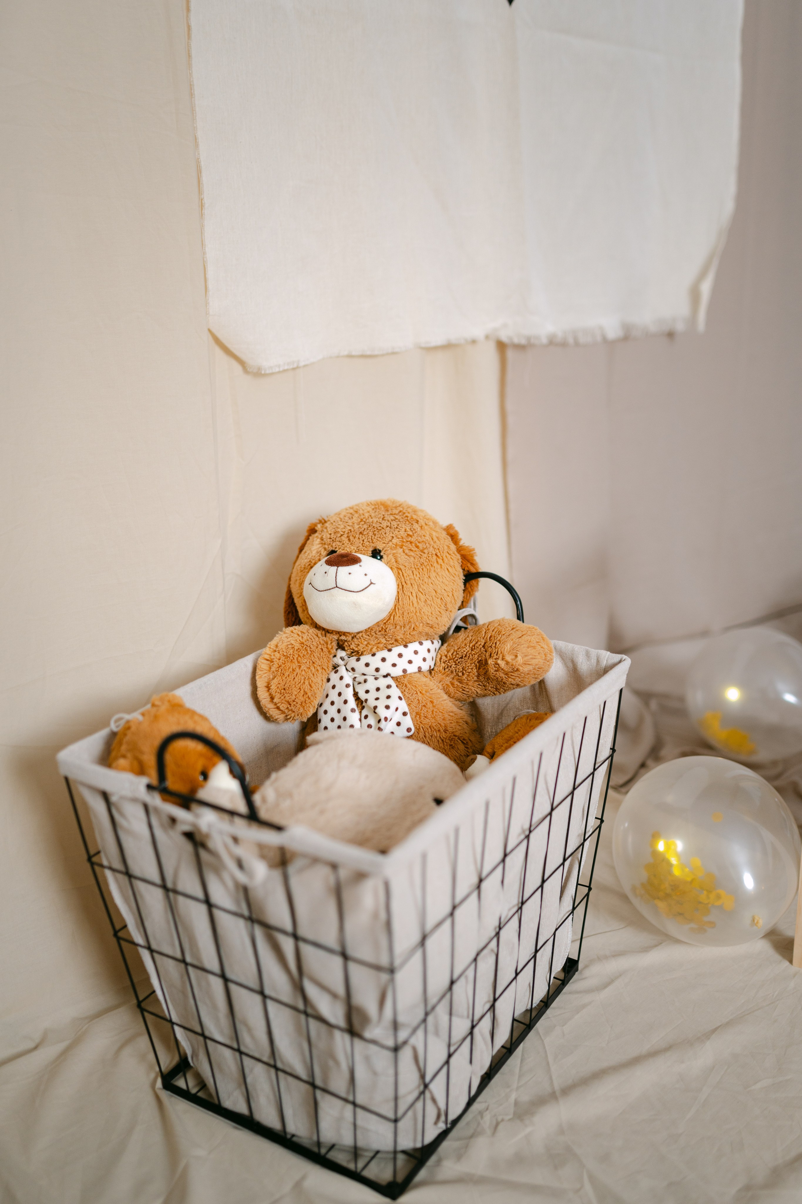 Aris — 1 Year. Gabrielacojocariu.com