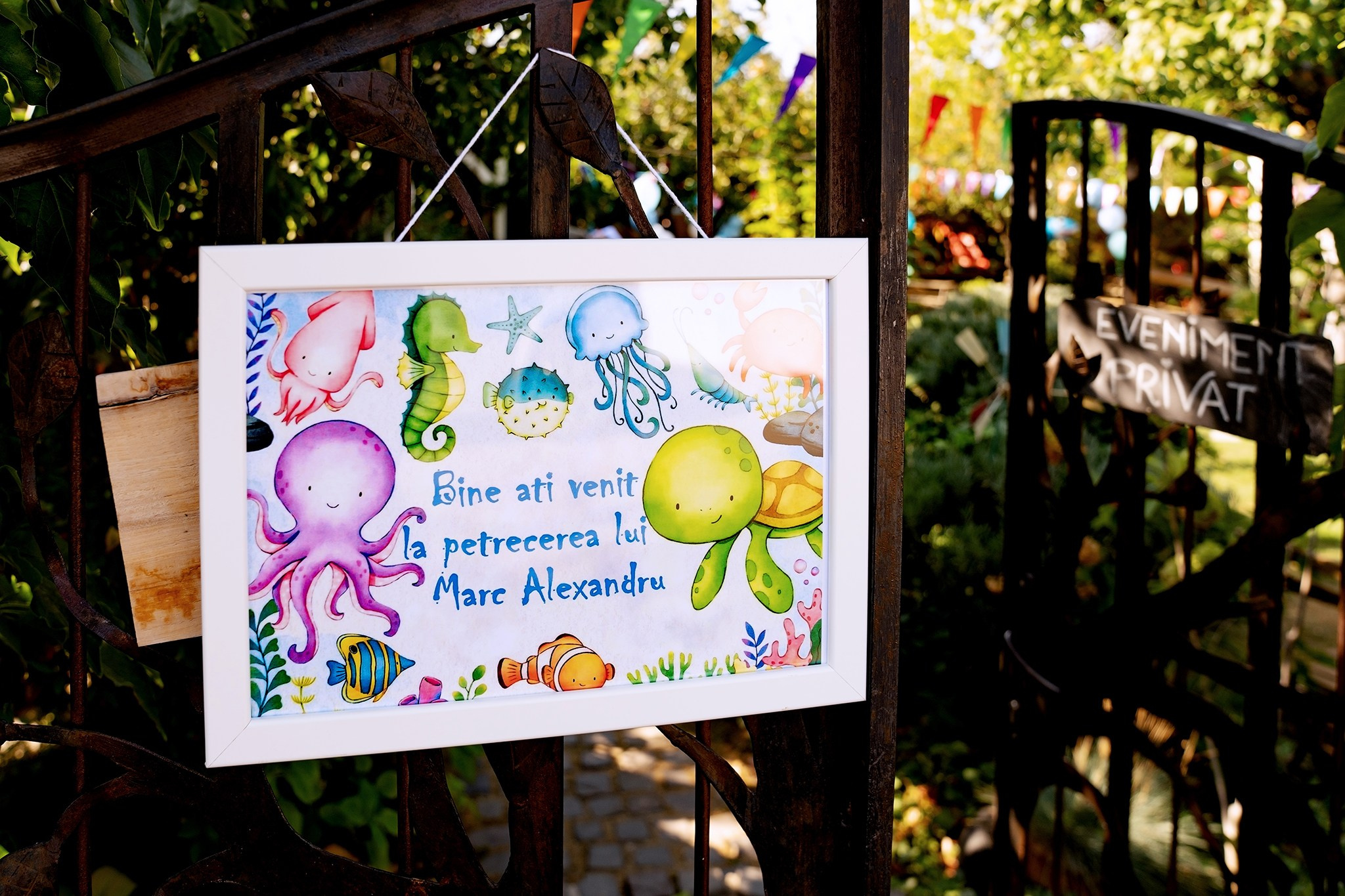 Marc Alexandru. Fotograf evenimente. Fotograf nunta. Fotograf Botez. Mihaela Savu