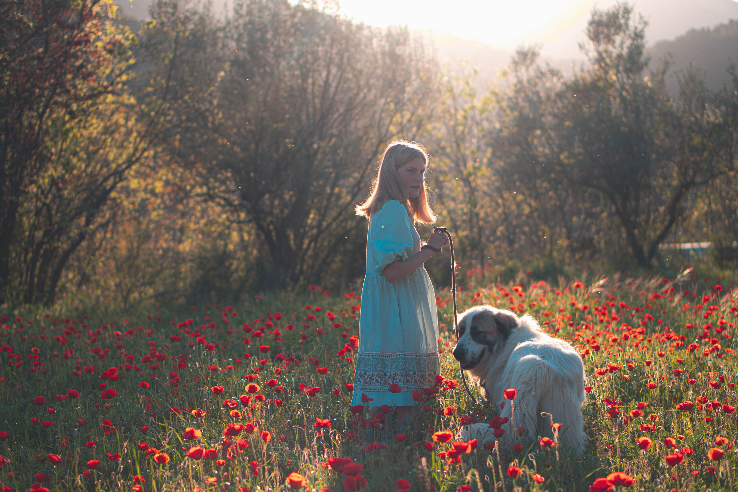 Agnia & Amapolas. Alba del Norte Studio