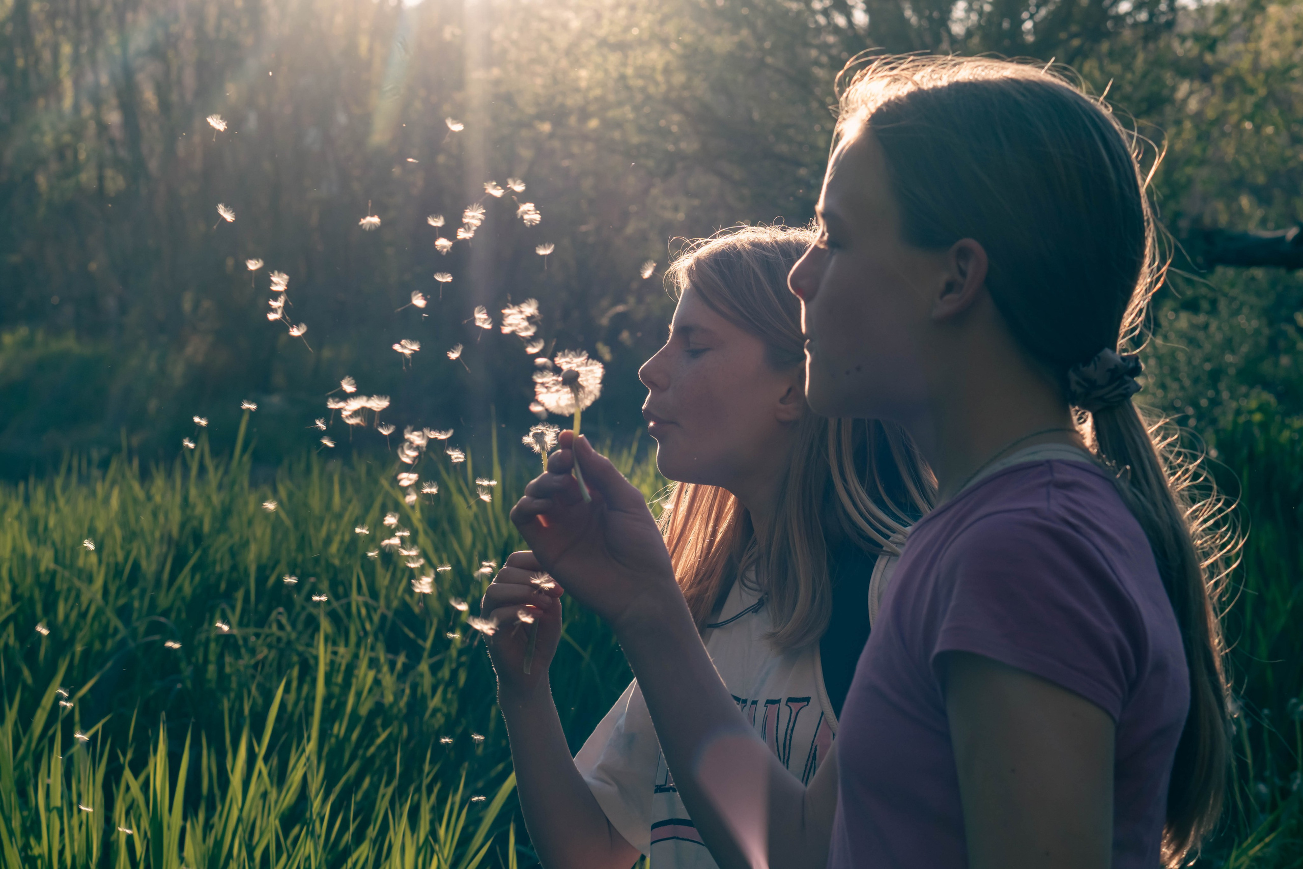 Noa&Agnia. Alba del Norte Studio