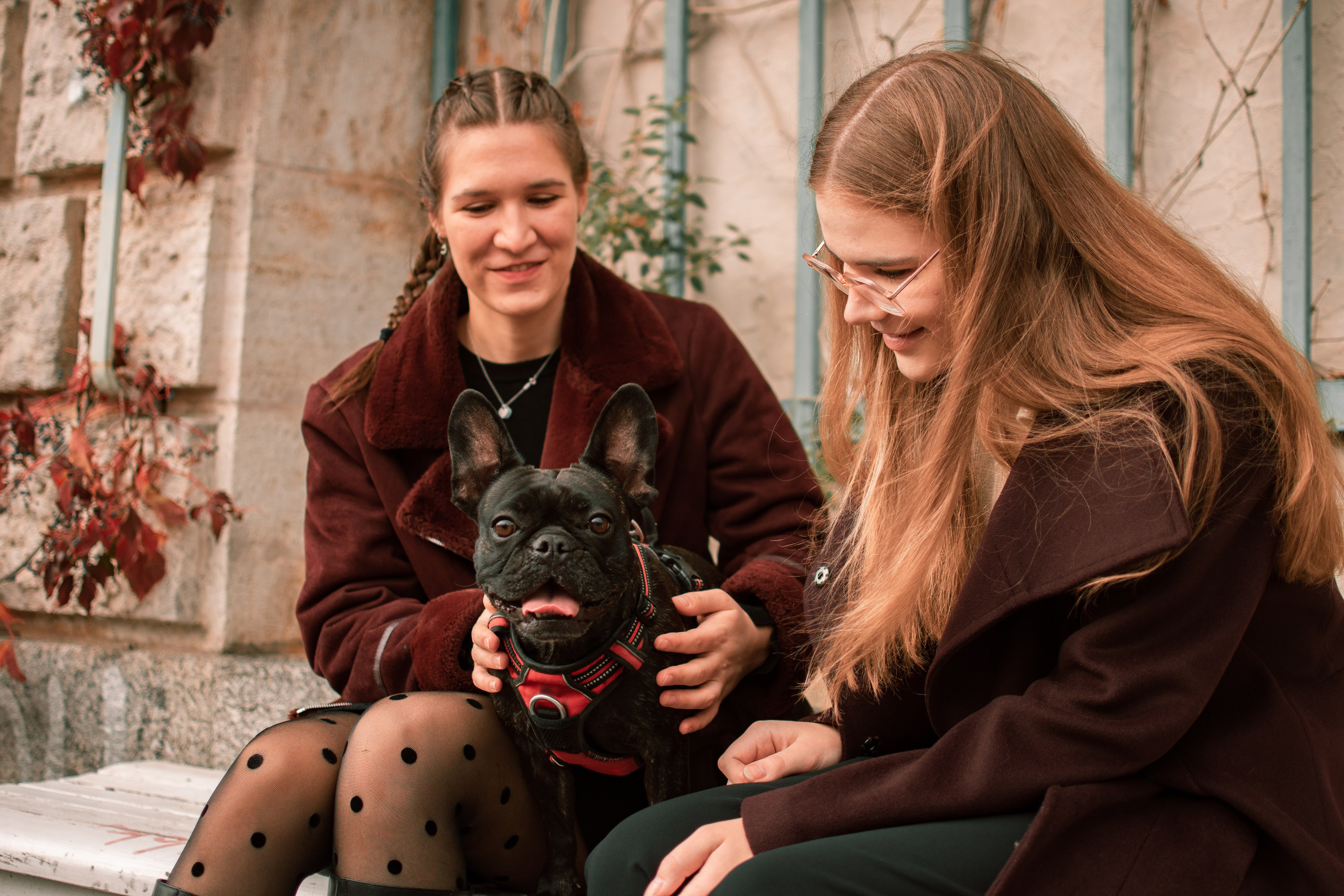 Осень. Семейный и детский фотограф