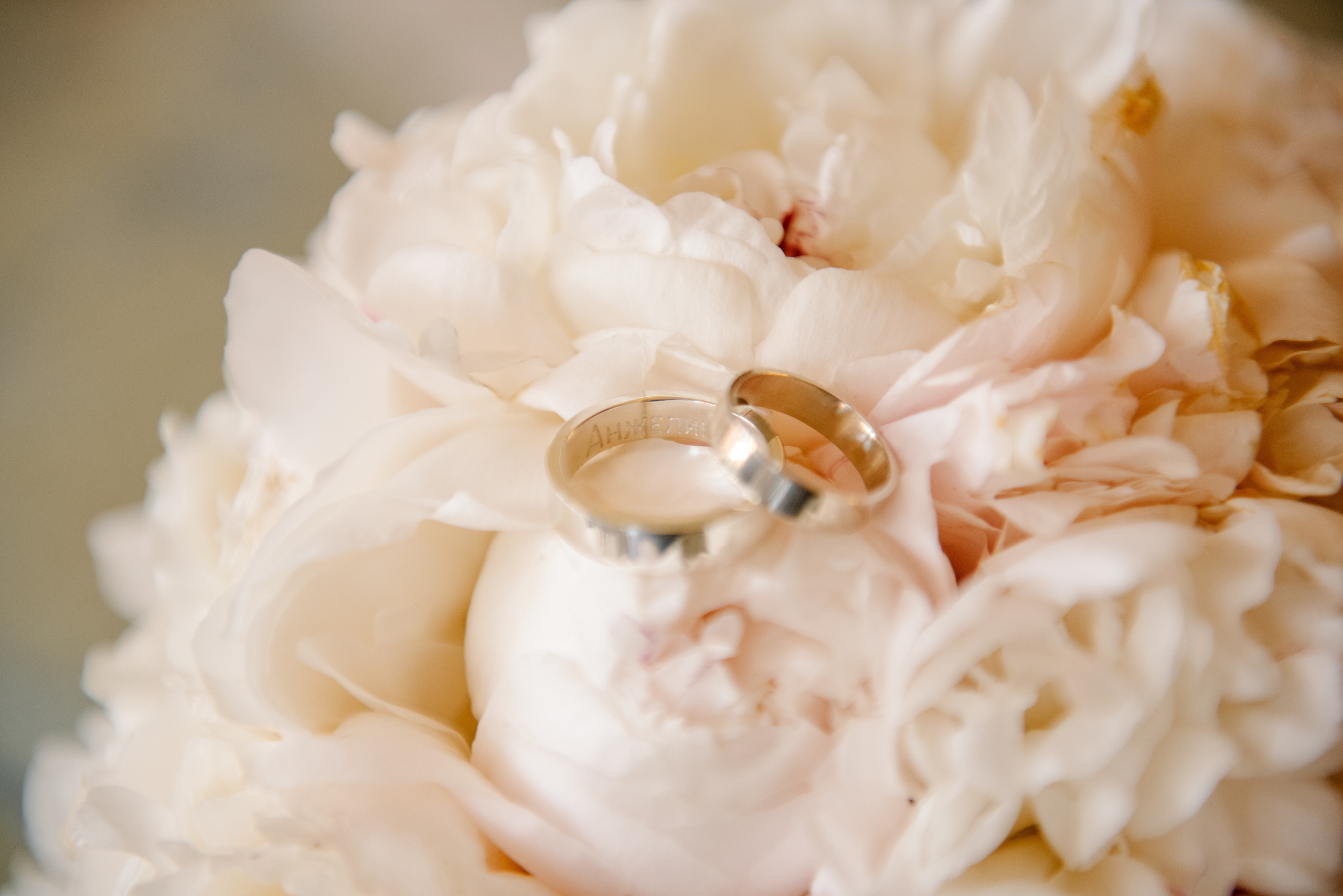 German & Anzhelika. Wedding photo and video Texas