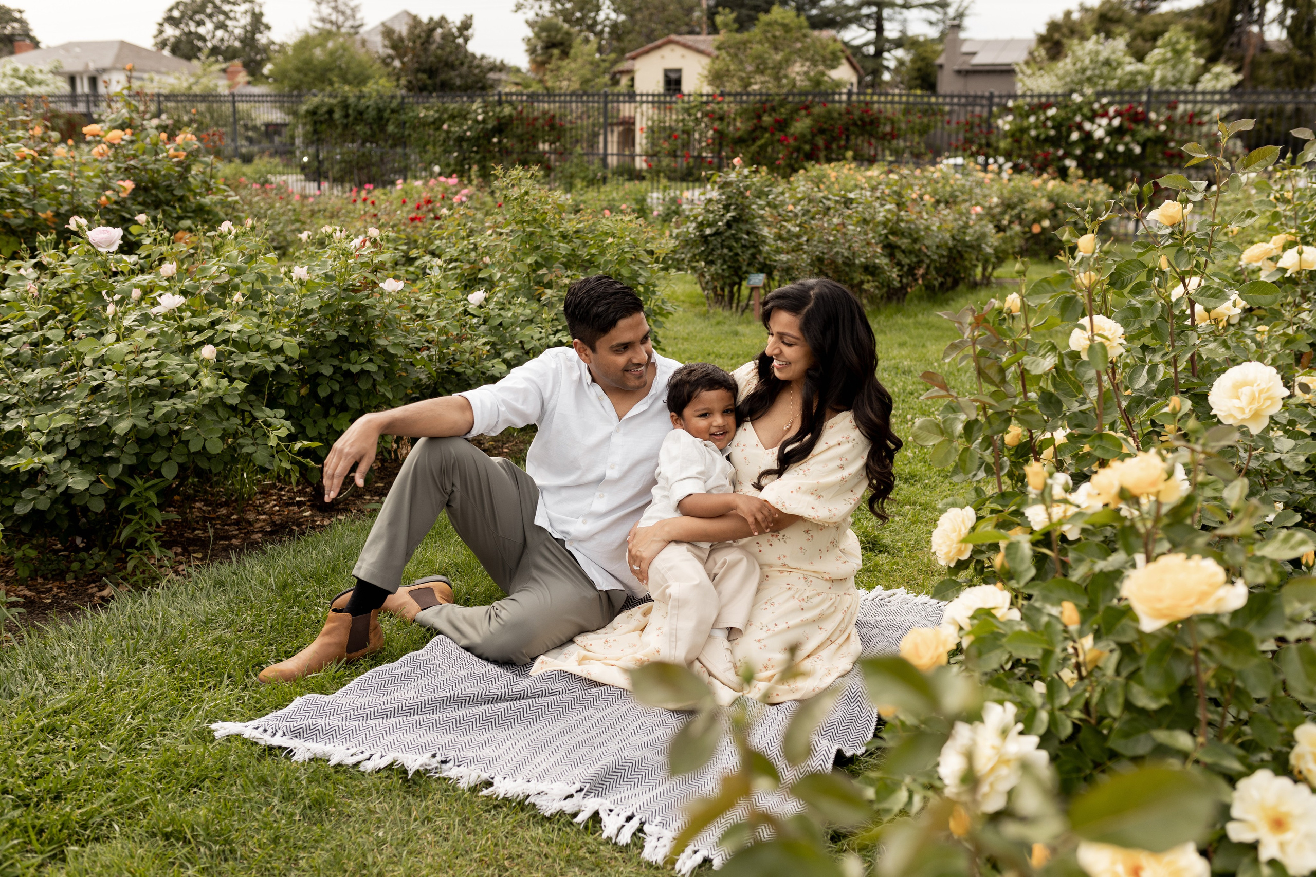 Family. Family photographer in Bay Area, California