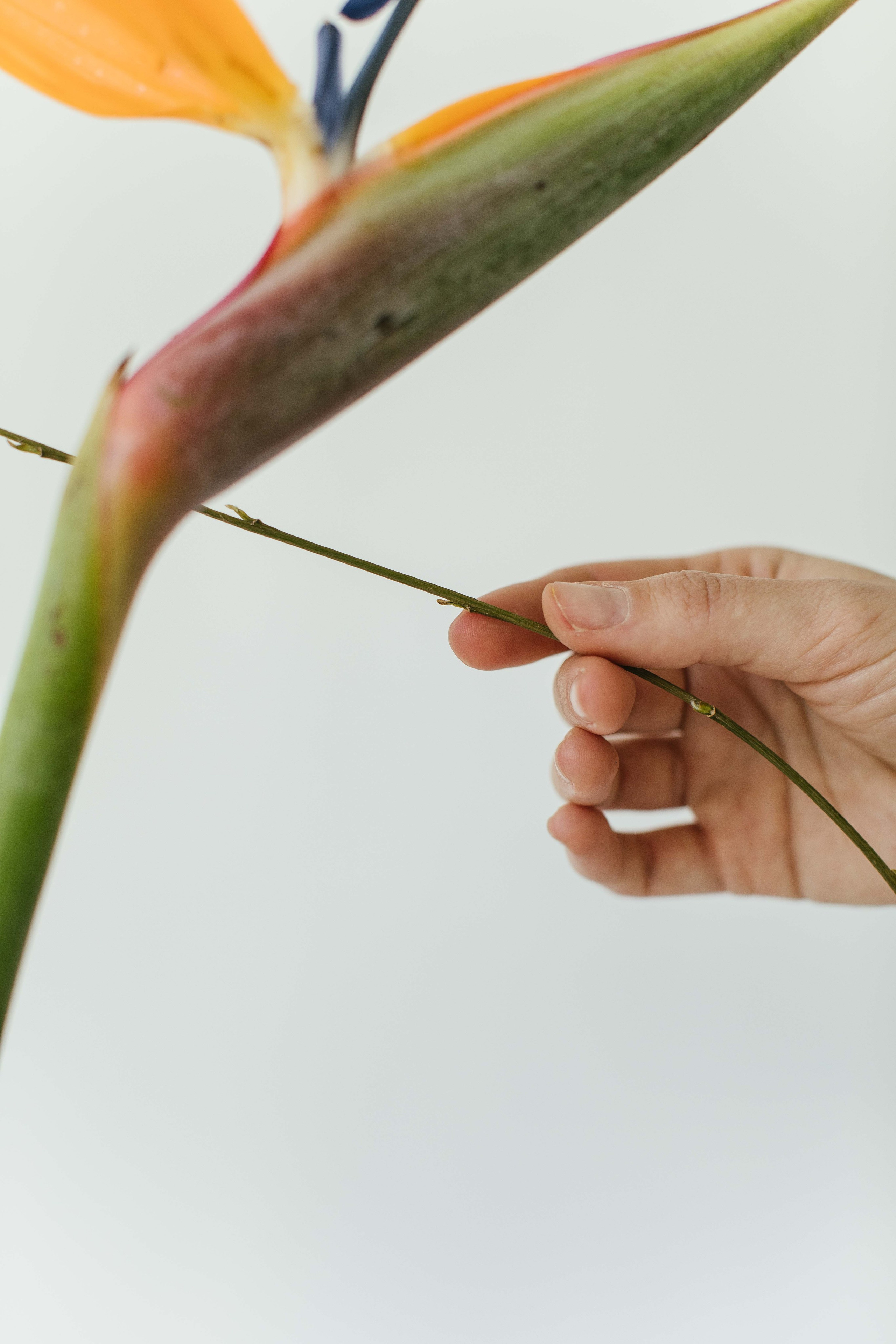 Objetos. Maria Kulakova — Fotógrafa en Santiago | Fotografía de producto, marcas y familias