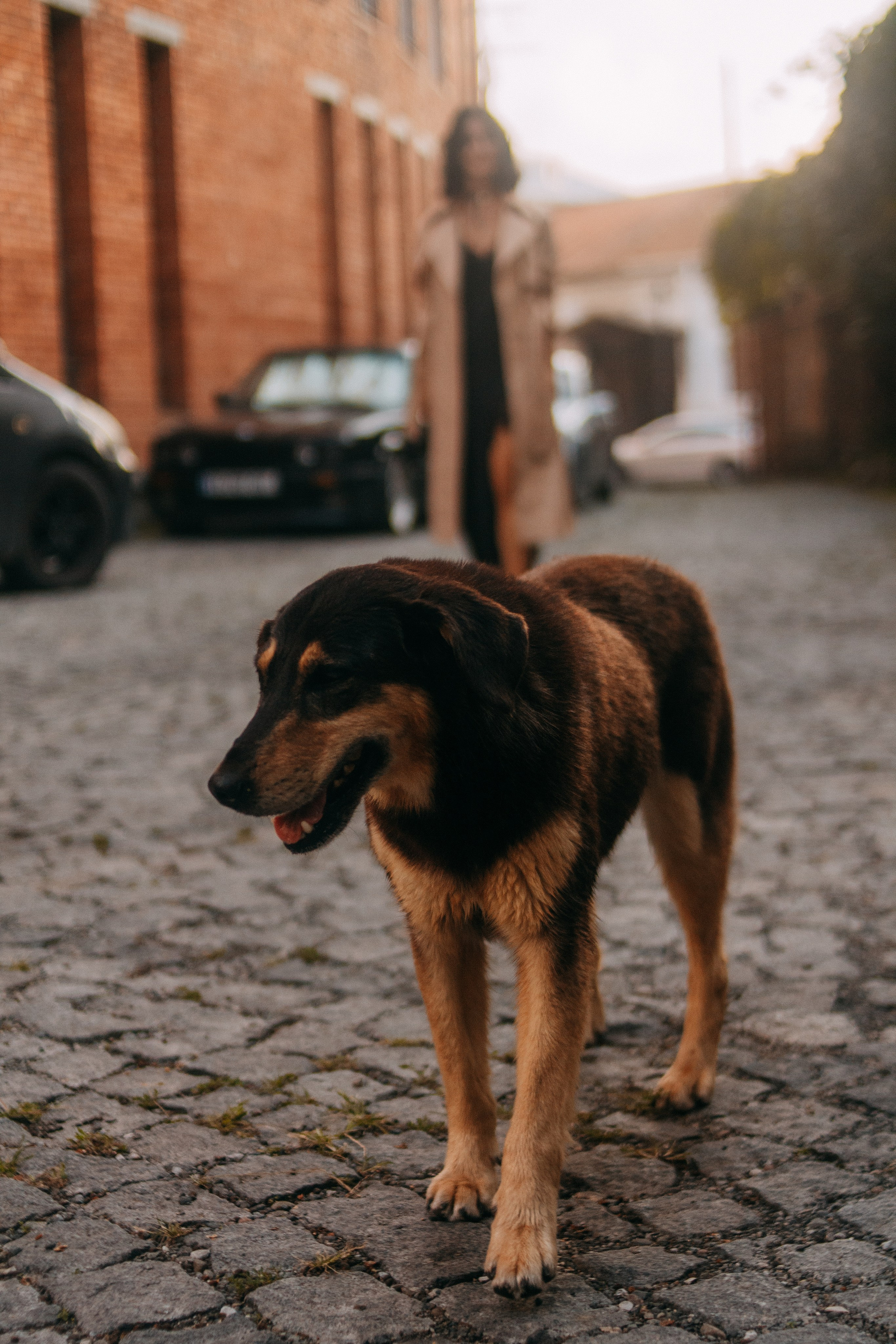 Арина. Wedding and portrait photographer in Beograd Ekaterina Makedonskaya