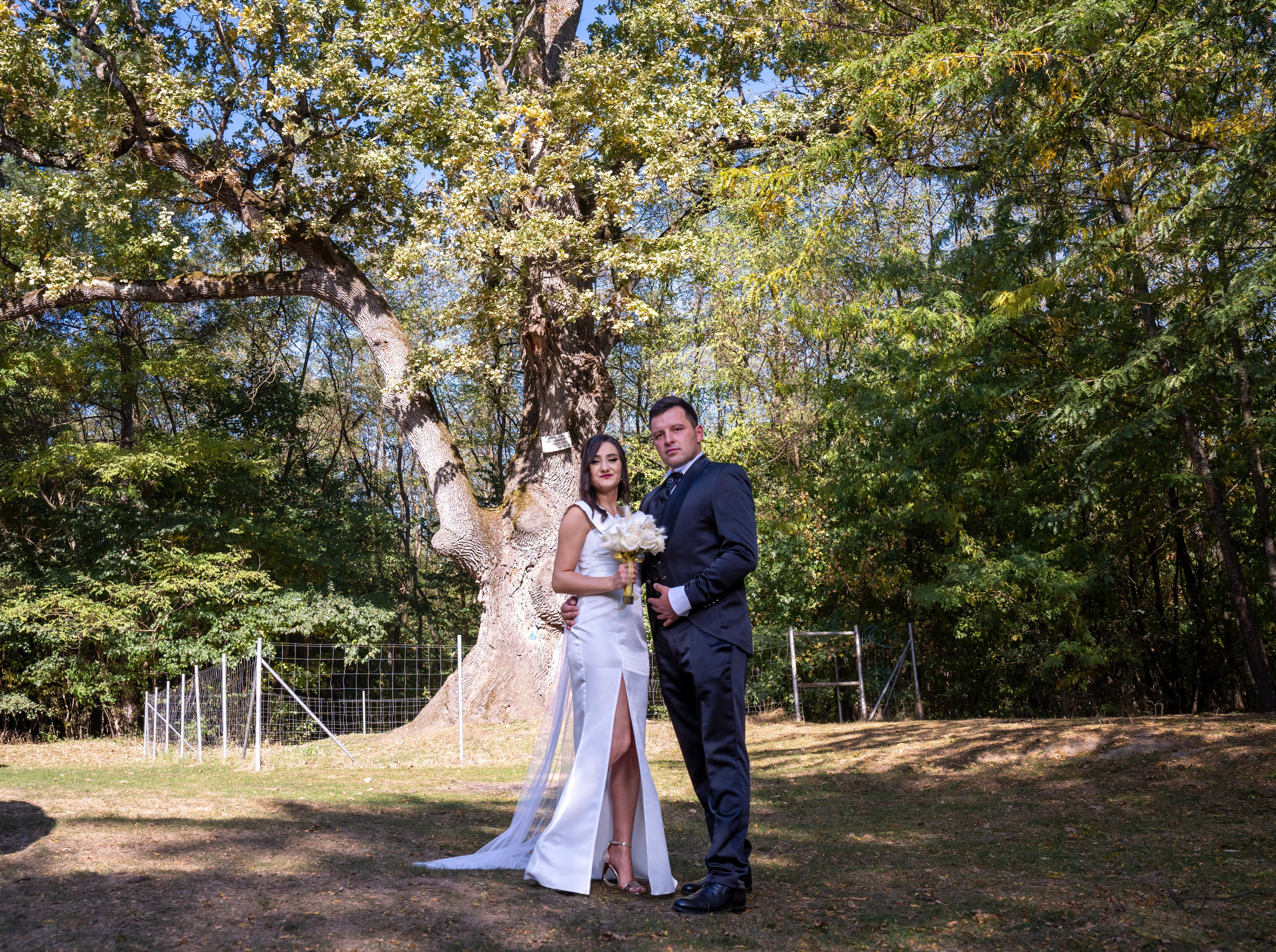 Nuntă Adina & Sorin
