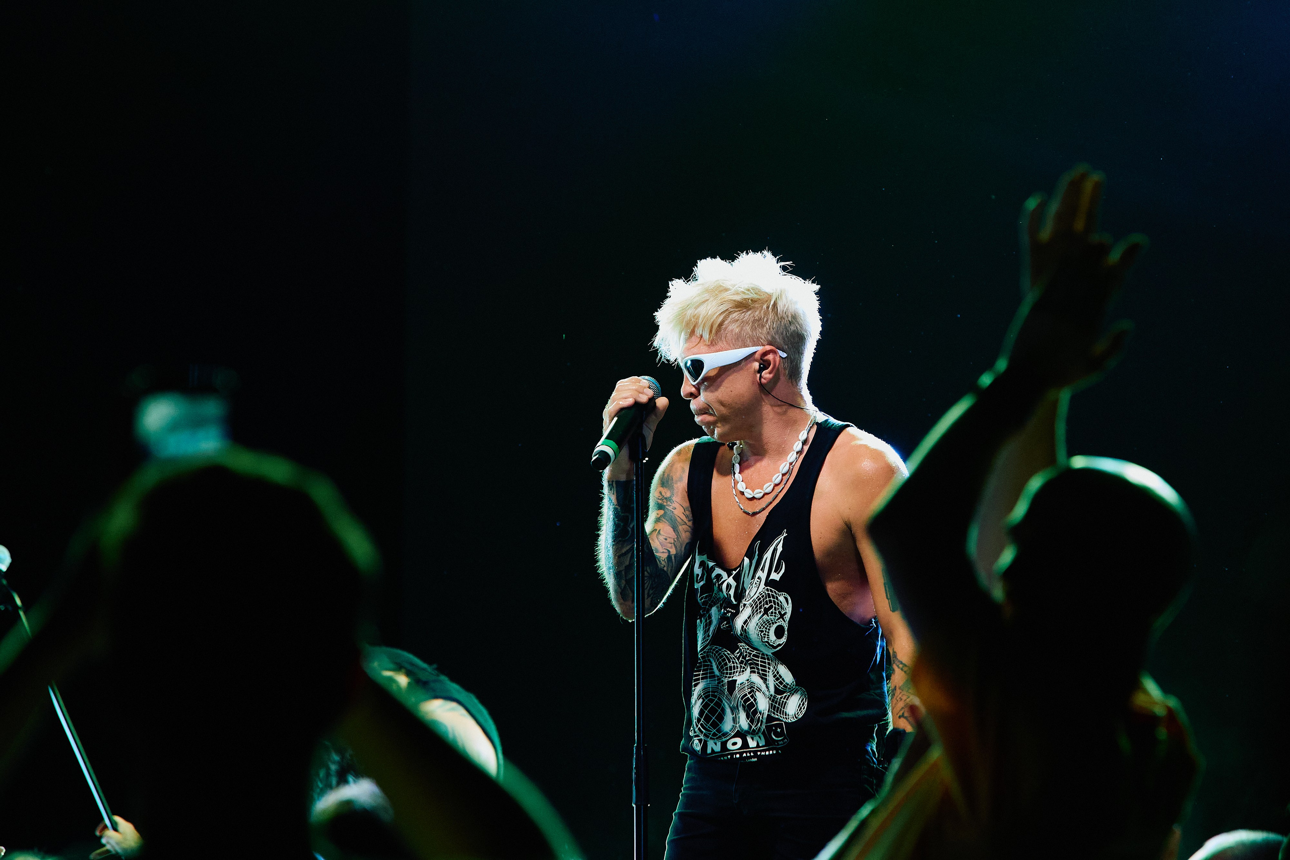 Concert. Ruslan Sereduk Photographer