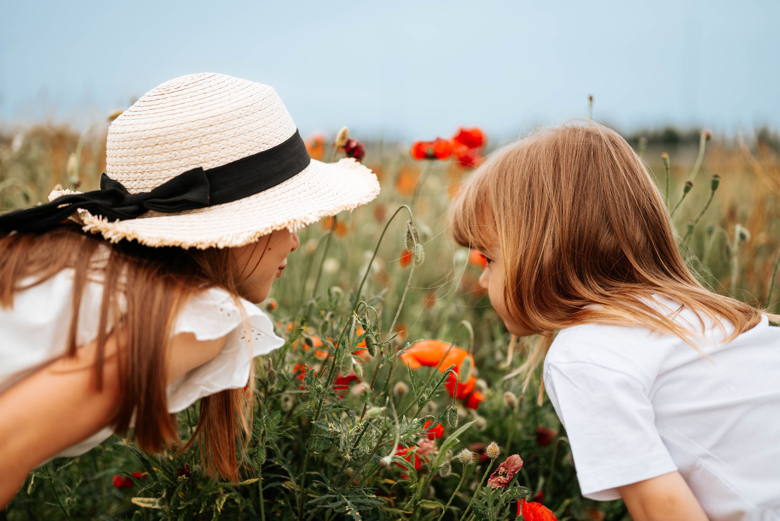 Hana, Una, Isidora i Bogdan - porodično fotografisanje. Dečiji i porodični fotograf