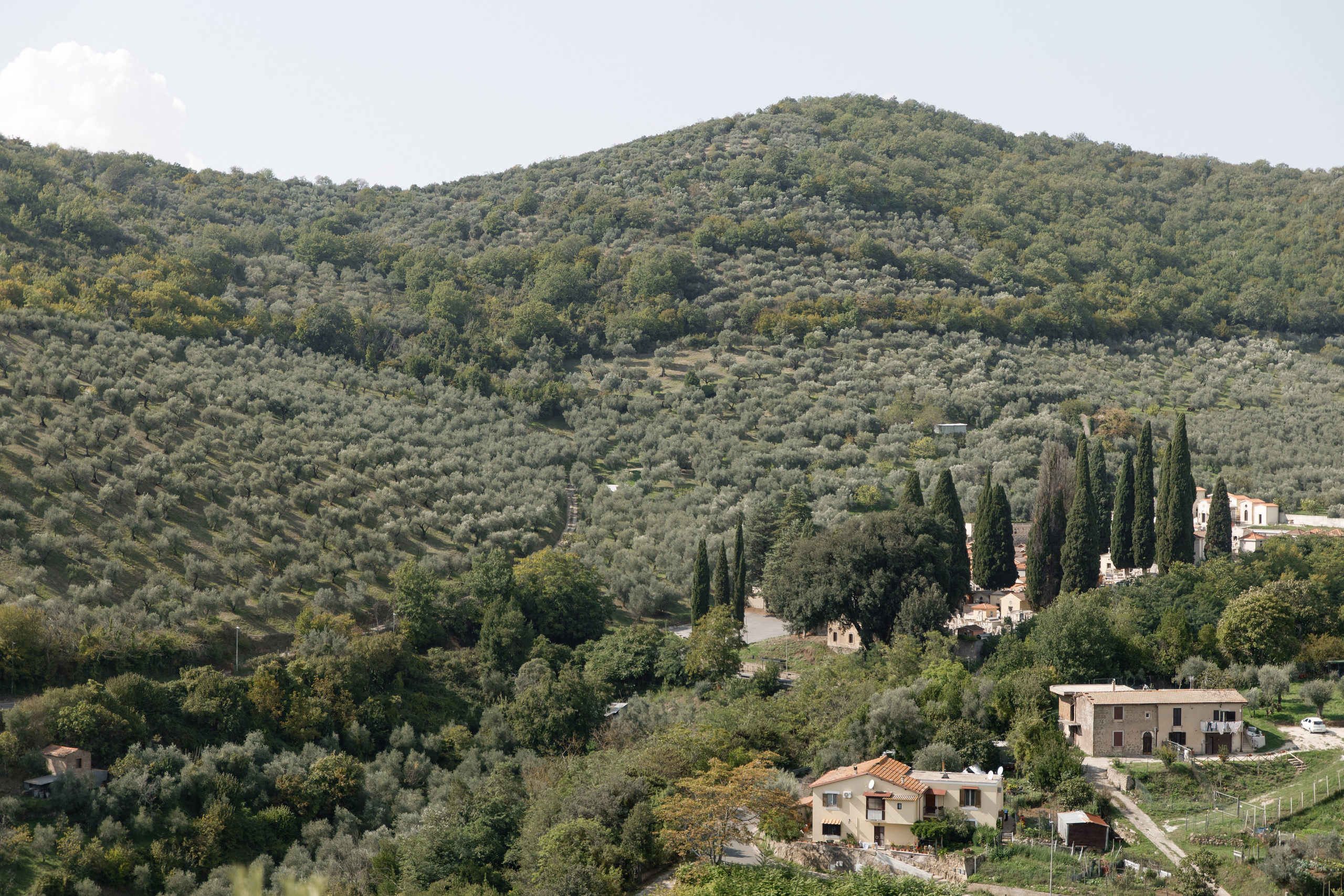 Wedding Castello Brancaccio. Wedding Photographer Rome Tuscany Como Sicily Puglia Amalfy Italy- Oksana Savenchuk