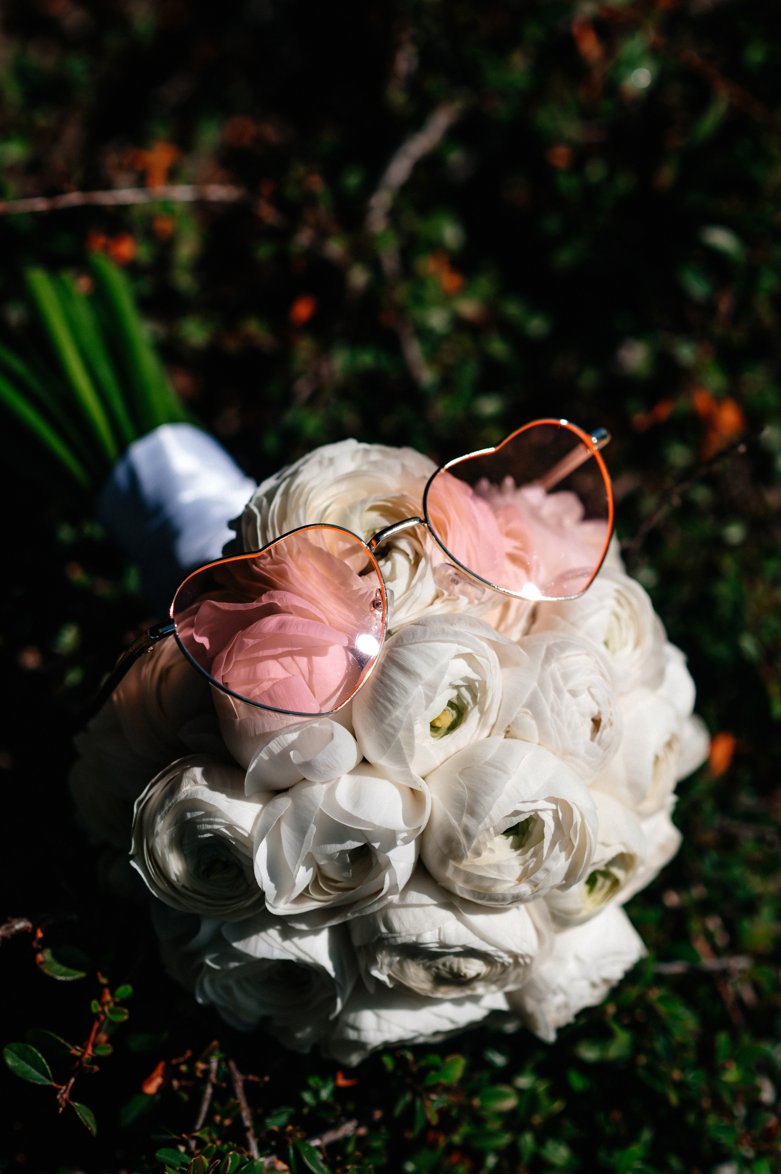 Андрей+Ксения. Свадебный и портретный фотограф Юлия Пыльченко