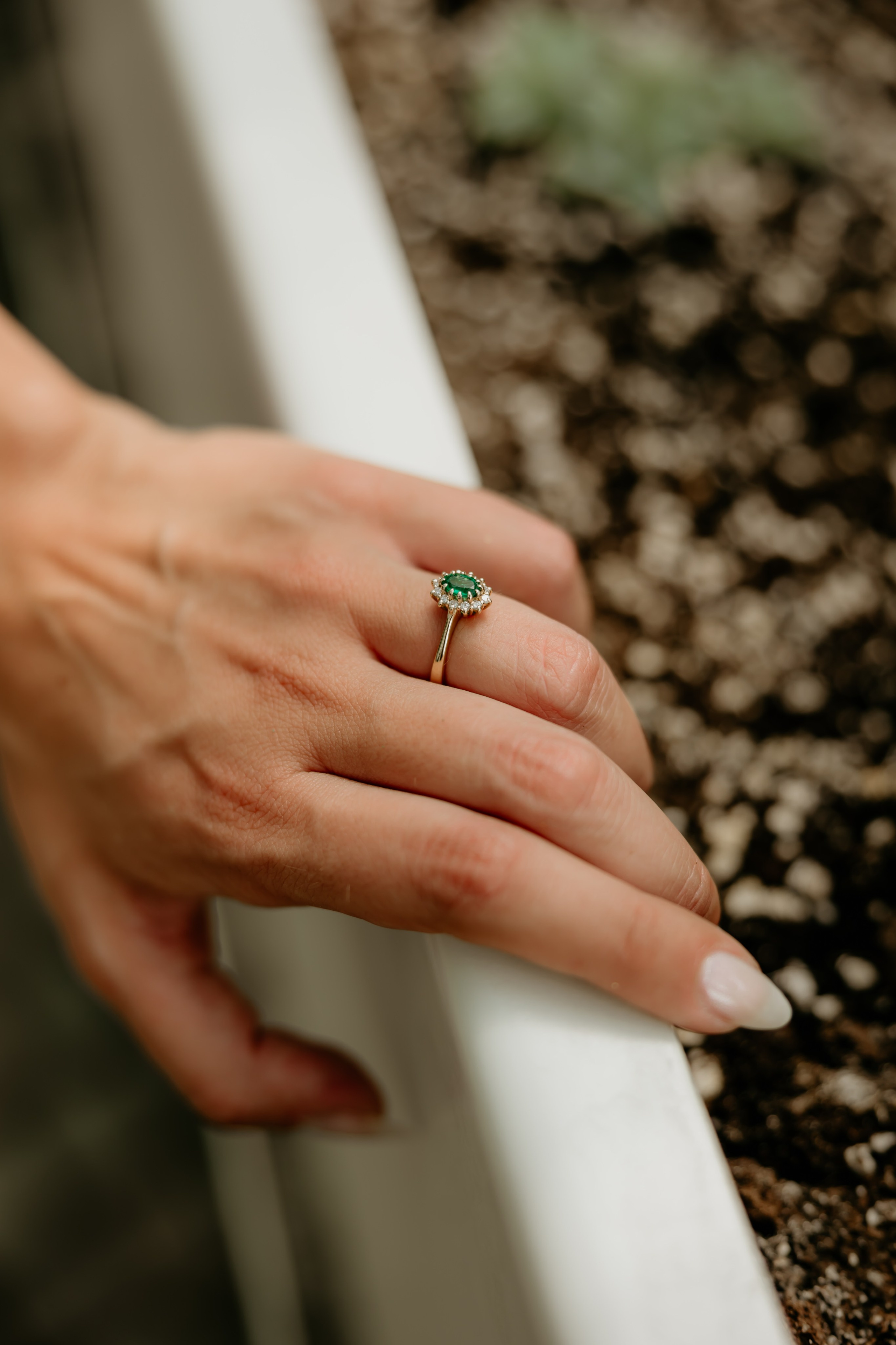 D&V Wedding. Family and children photographer in Belgrade Milja Ciric