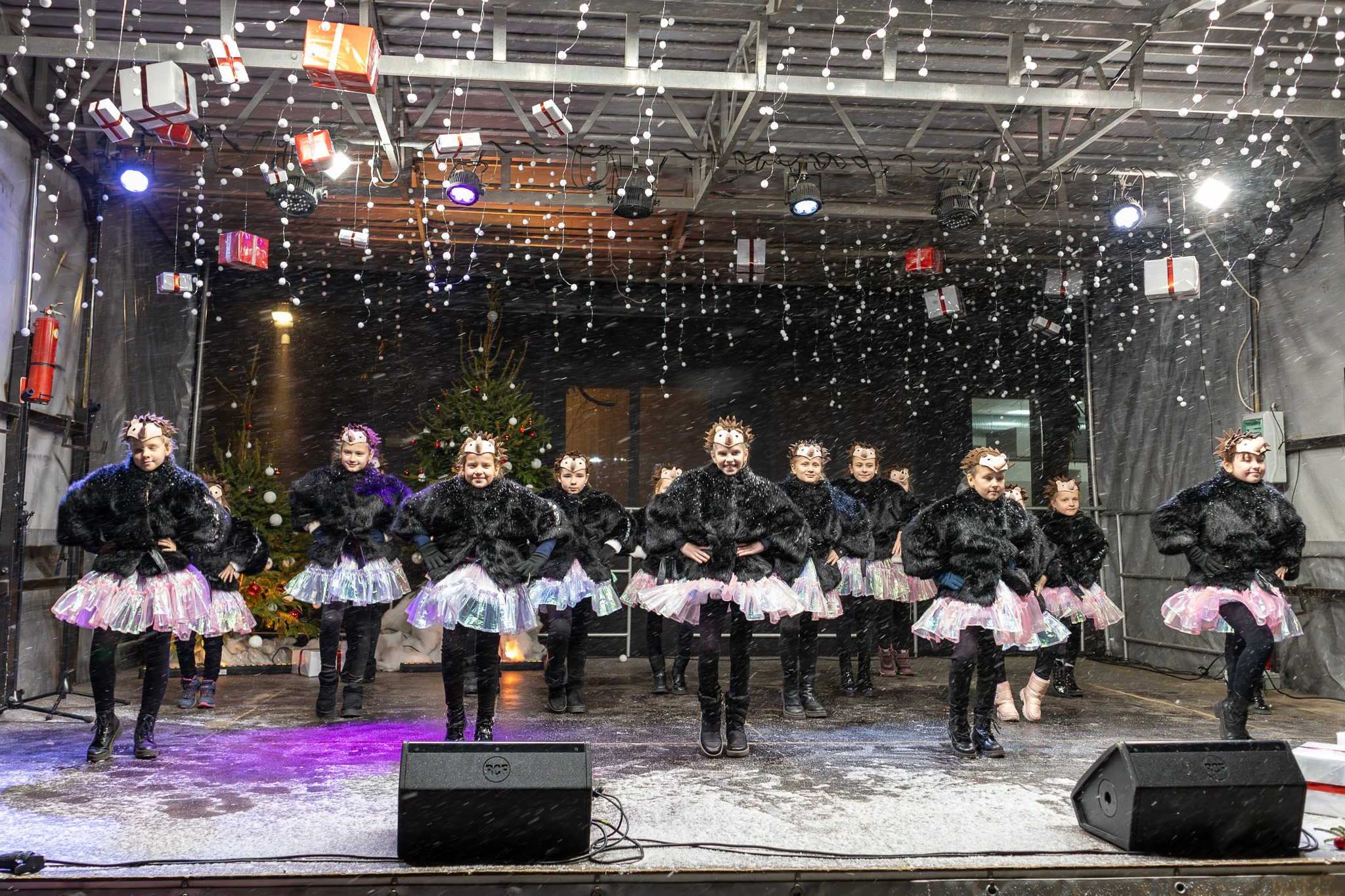 Renginių fotografija. Viviphotography.lt — asmeninės bei komercinės fotosesijos, švenčių bei renginių fotografija visoje Lietuvoje