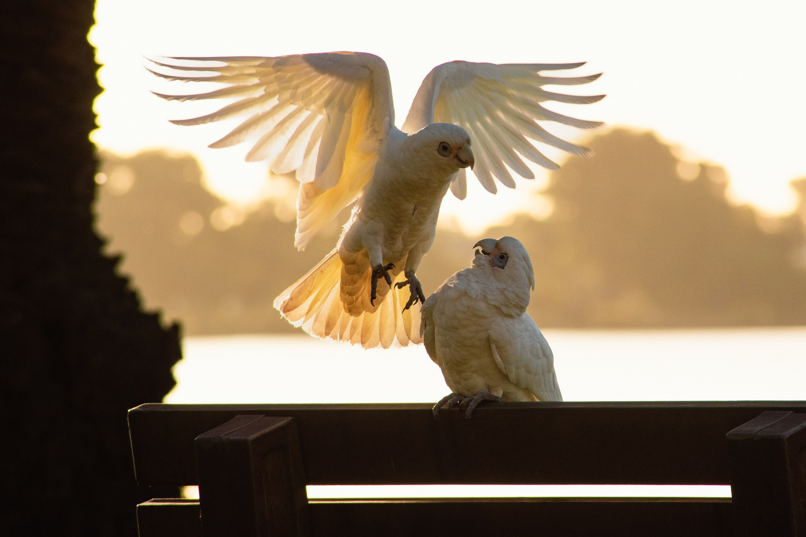 Personal. Moments to Memories 📸 Weddings • Portraits • Events • Birthdays Perth 🇦🇺