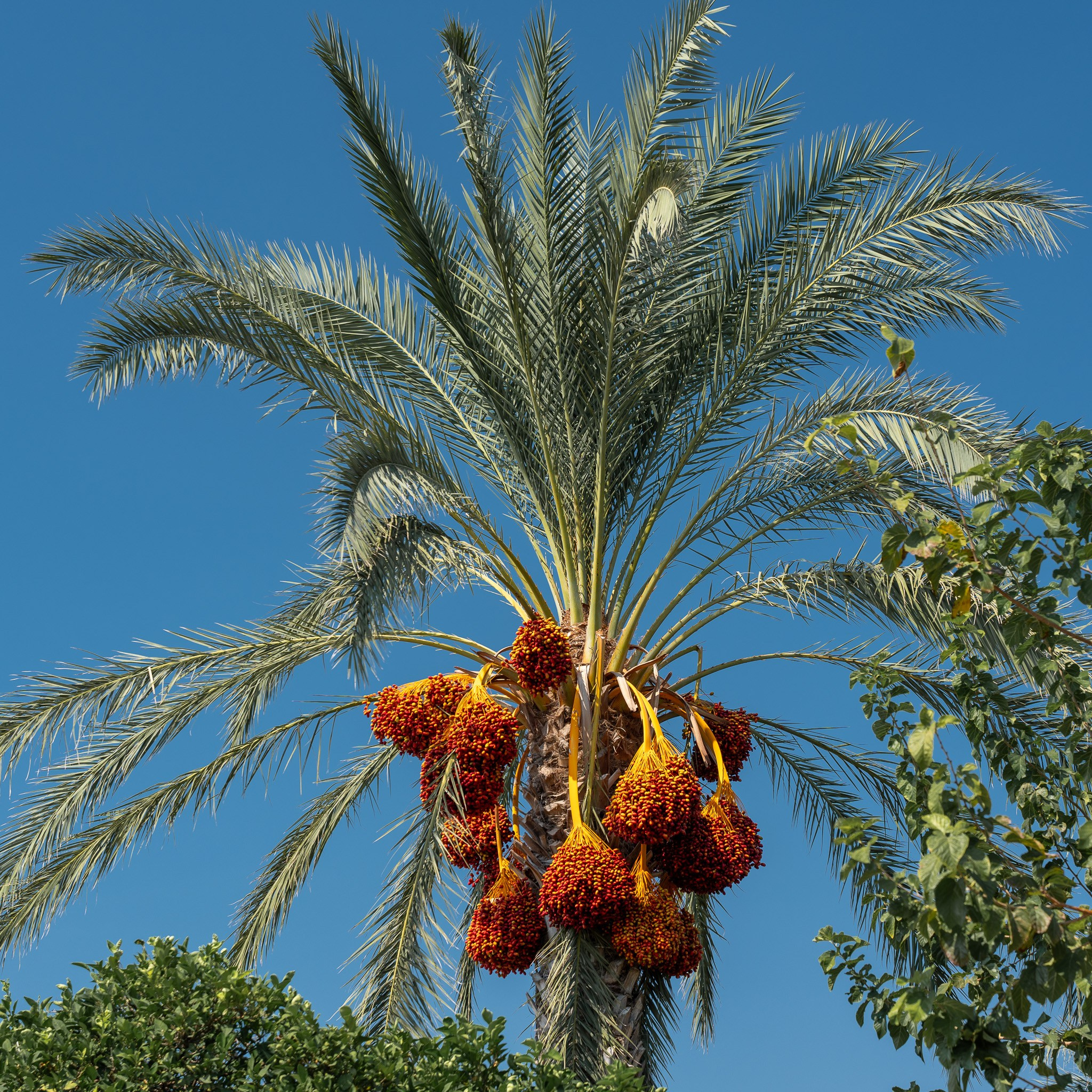 TURKEY & NATURE. UNRATED PHOTO