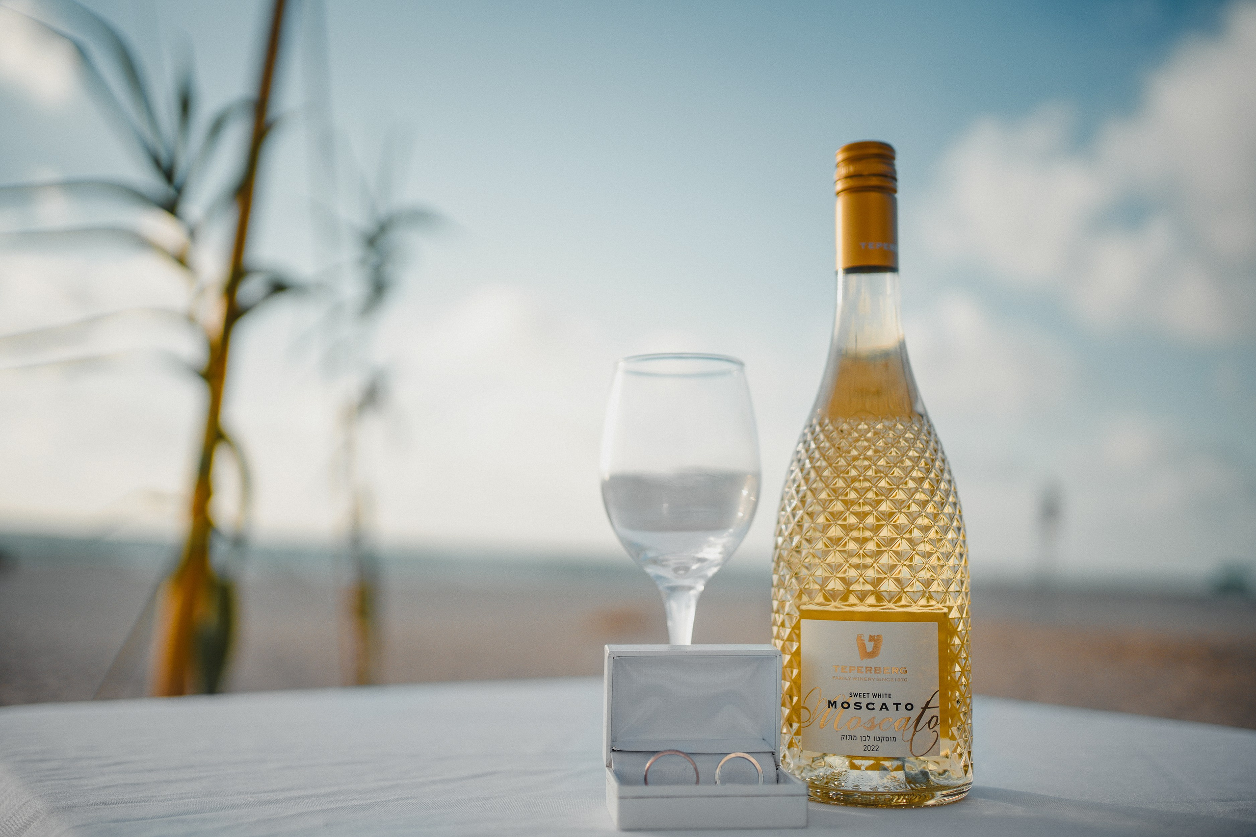 Veronika and Shmuel. Dmitry Gorodetsky Event Photographer