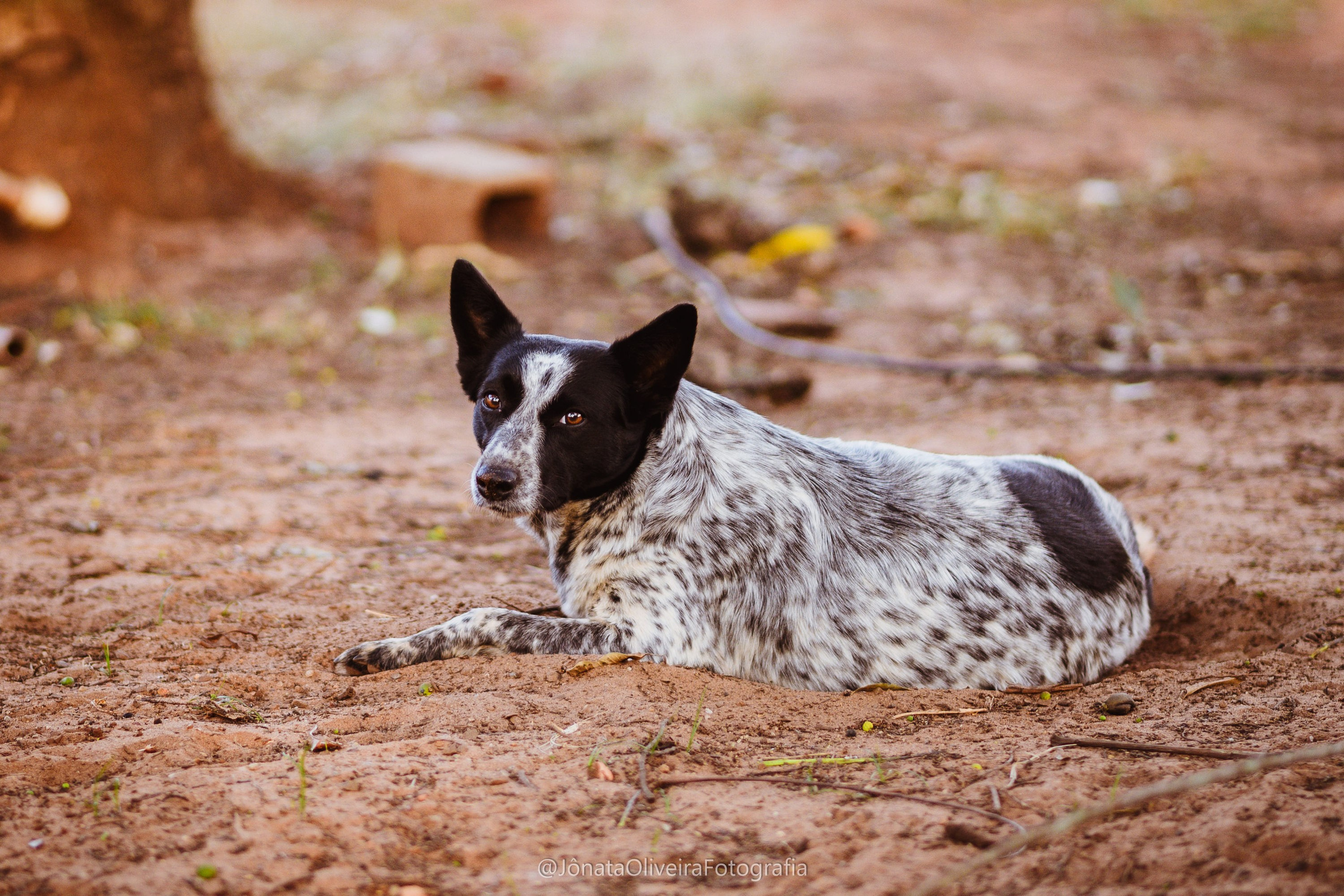 Pre Wedding Luérica e Vinicius. Fotografia de casamentos e ensaios em avaré Jônata Oliveira