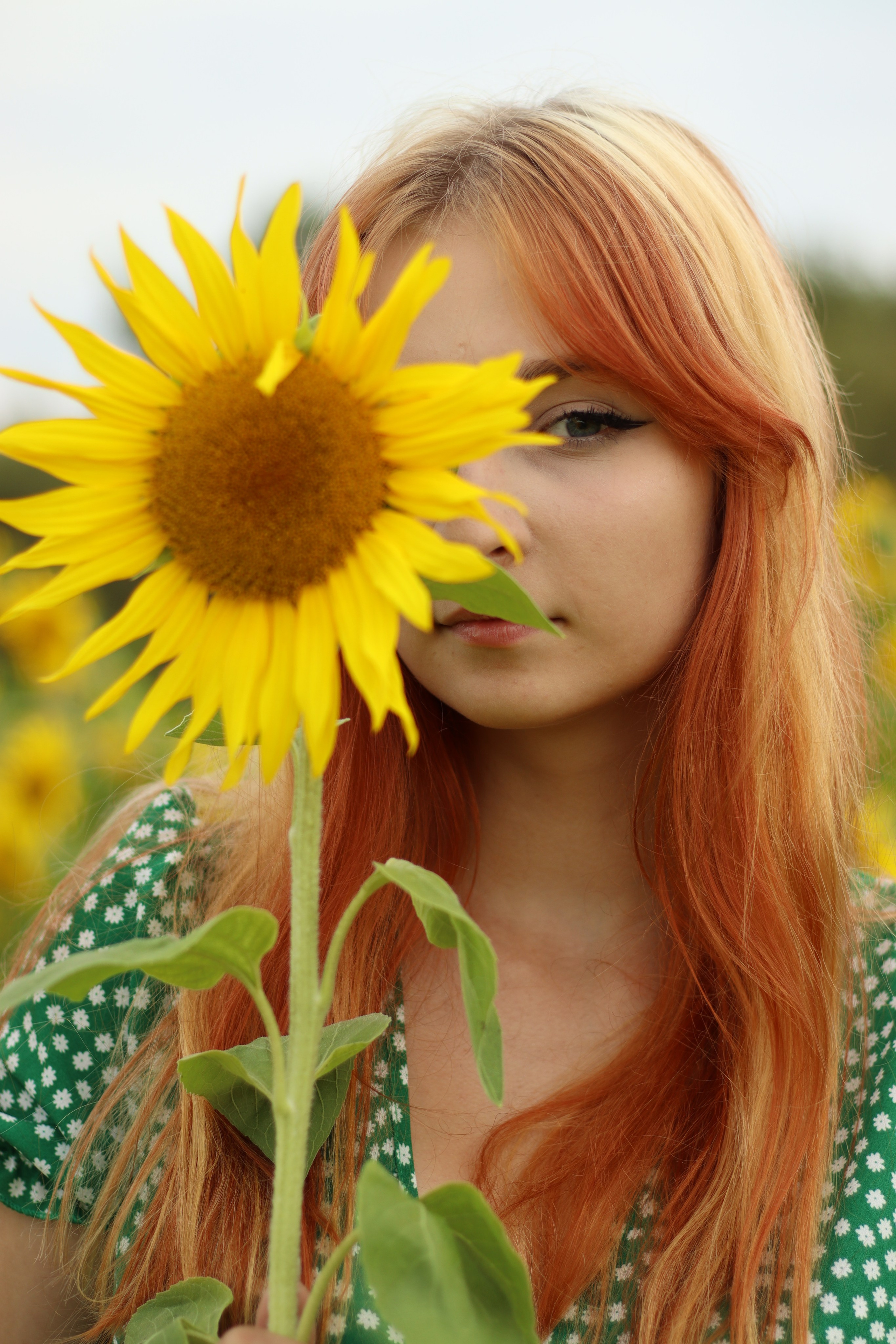Фотосессия в подсолнухах. Фотограф / Даугавпилс / Ольга Антонова