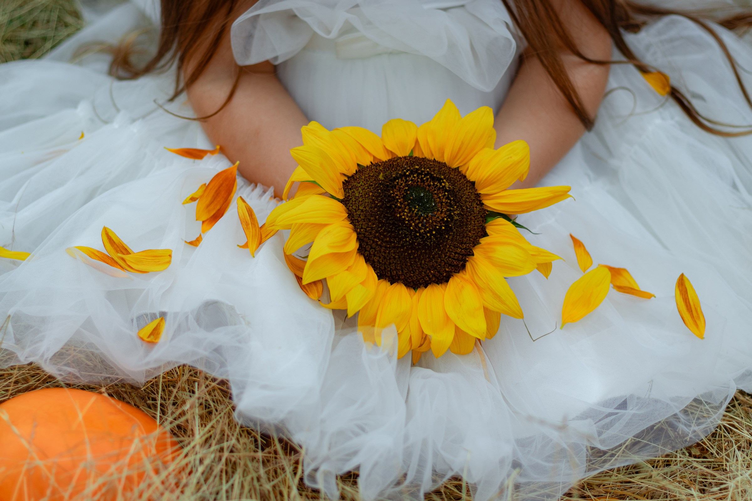 Чаепитие в саду