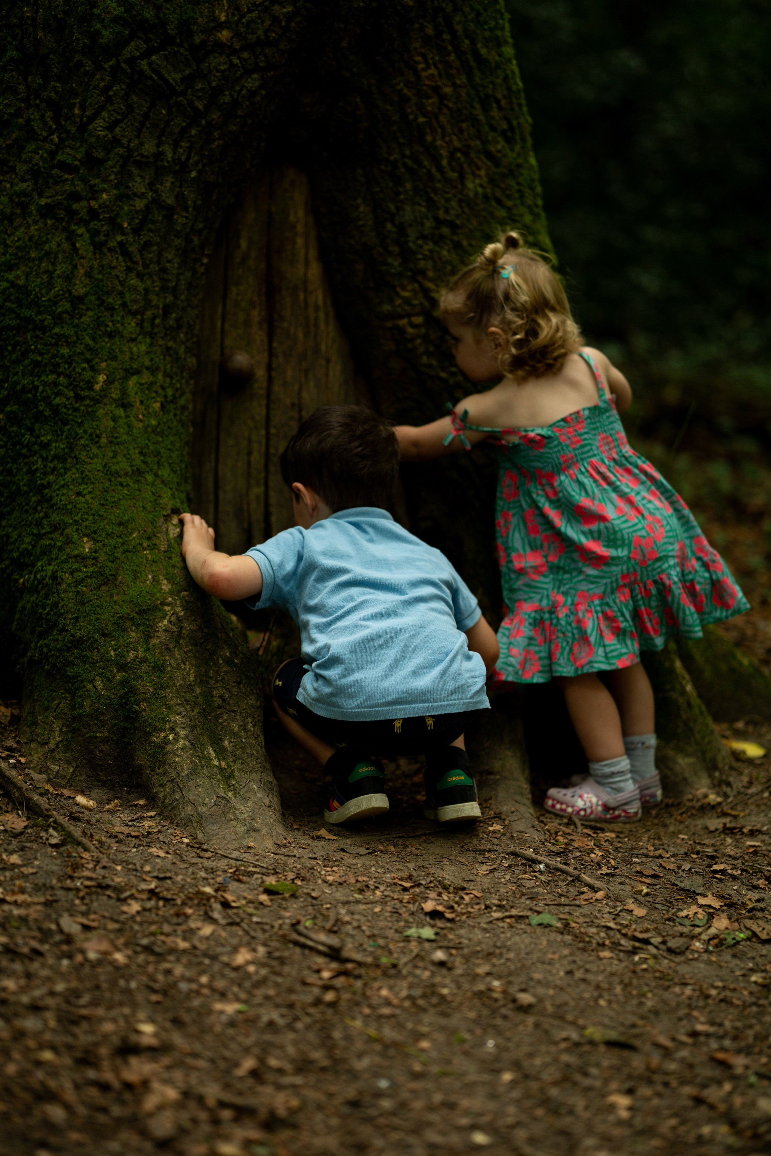 Family. Ryan Hewitt Photographer