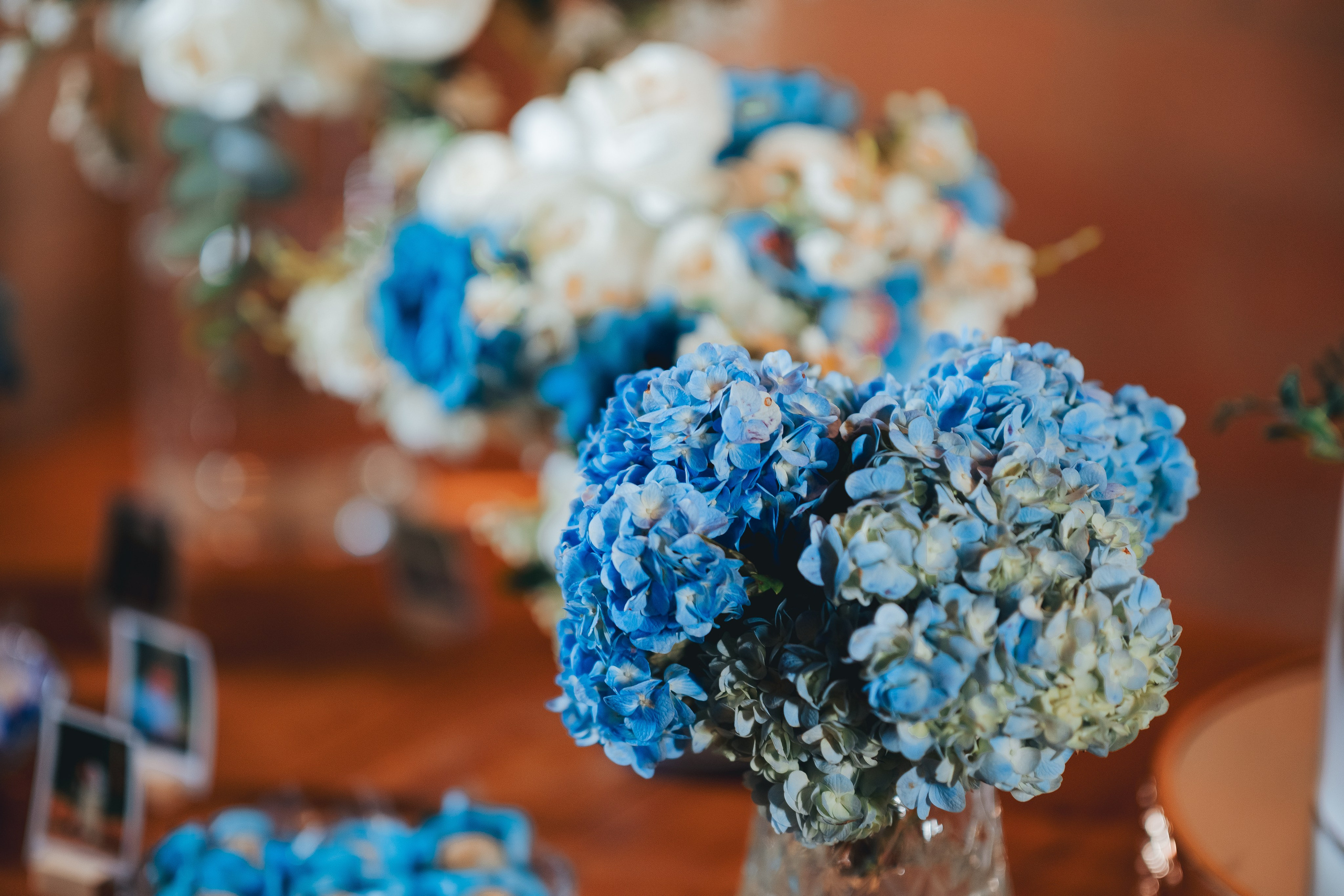 Casamento Jeniffer e Wesley — Sitio Renascer. Fotógrafo Renan Lima