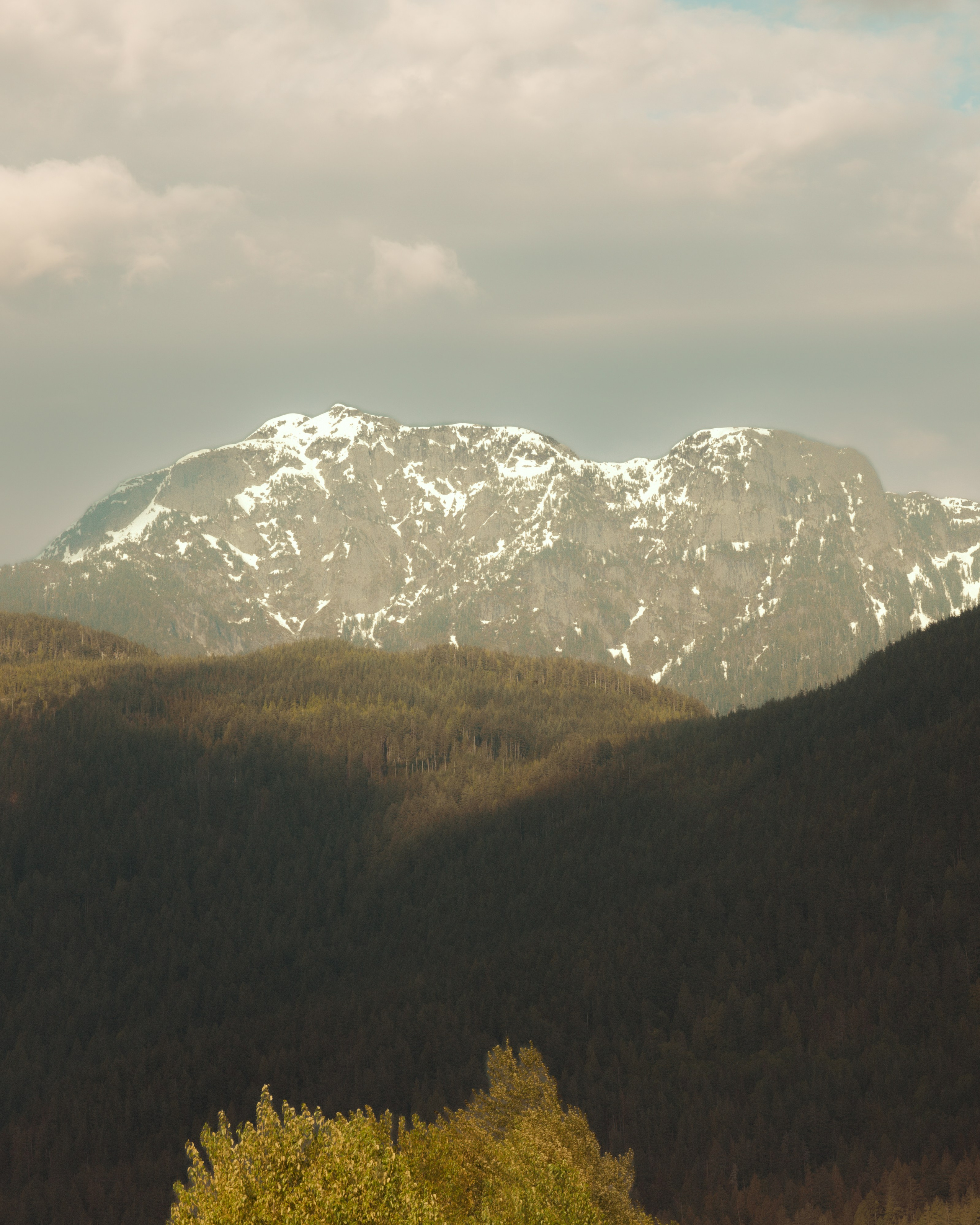 Friends. Yana Bobrova | Artistic Photography