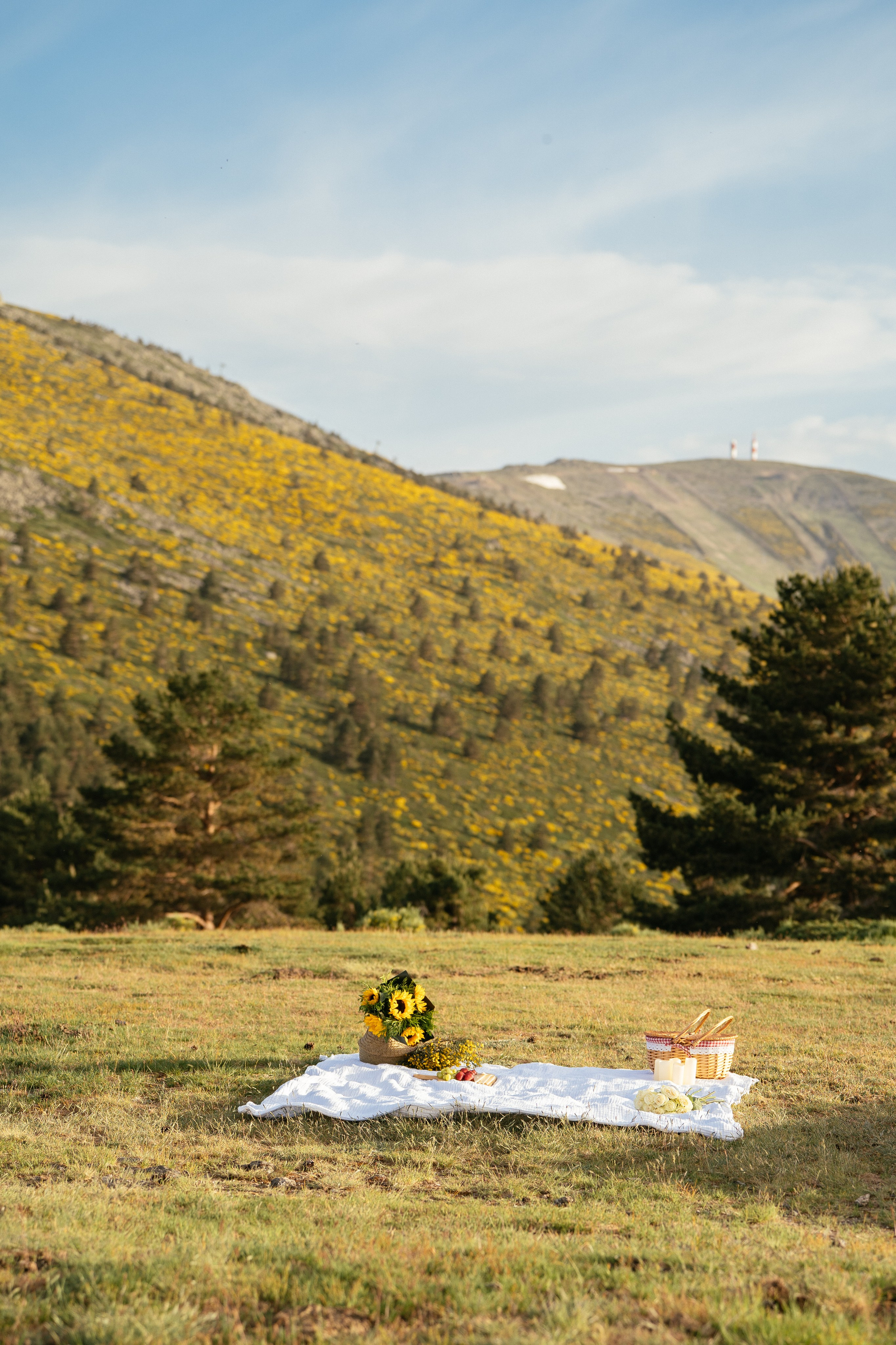 Marrige proposal in the mountains. Фотограф в Мадриде Алена Белянинова