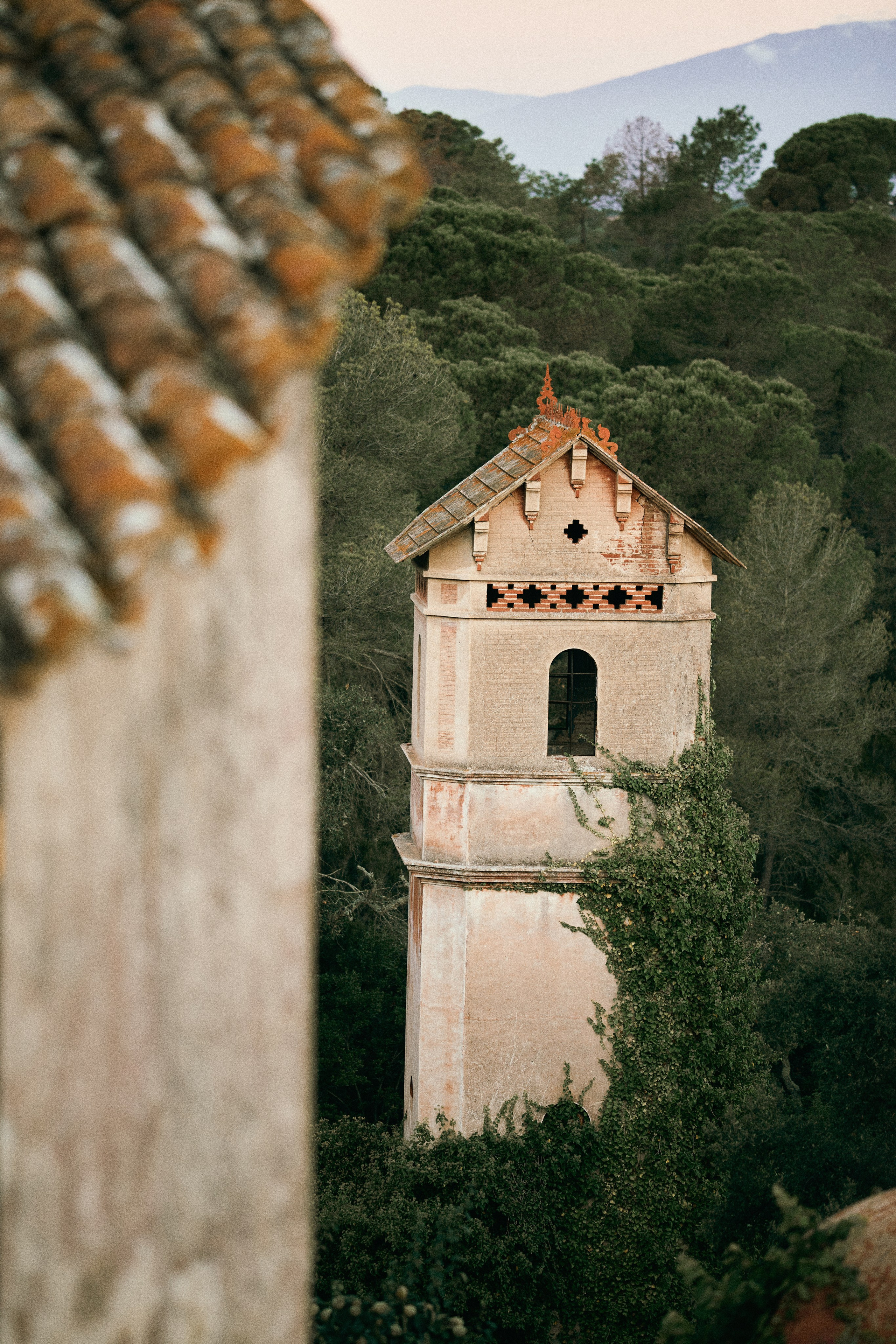 Луис и Алена. Фотограф в Барселоне Жанна Захарченко