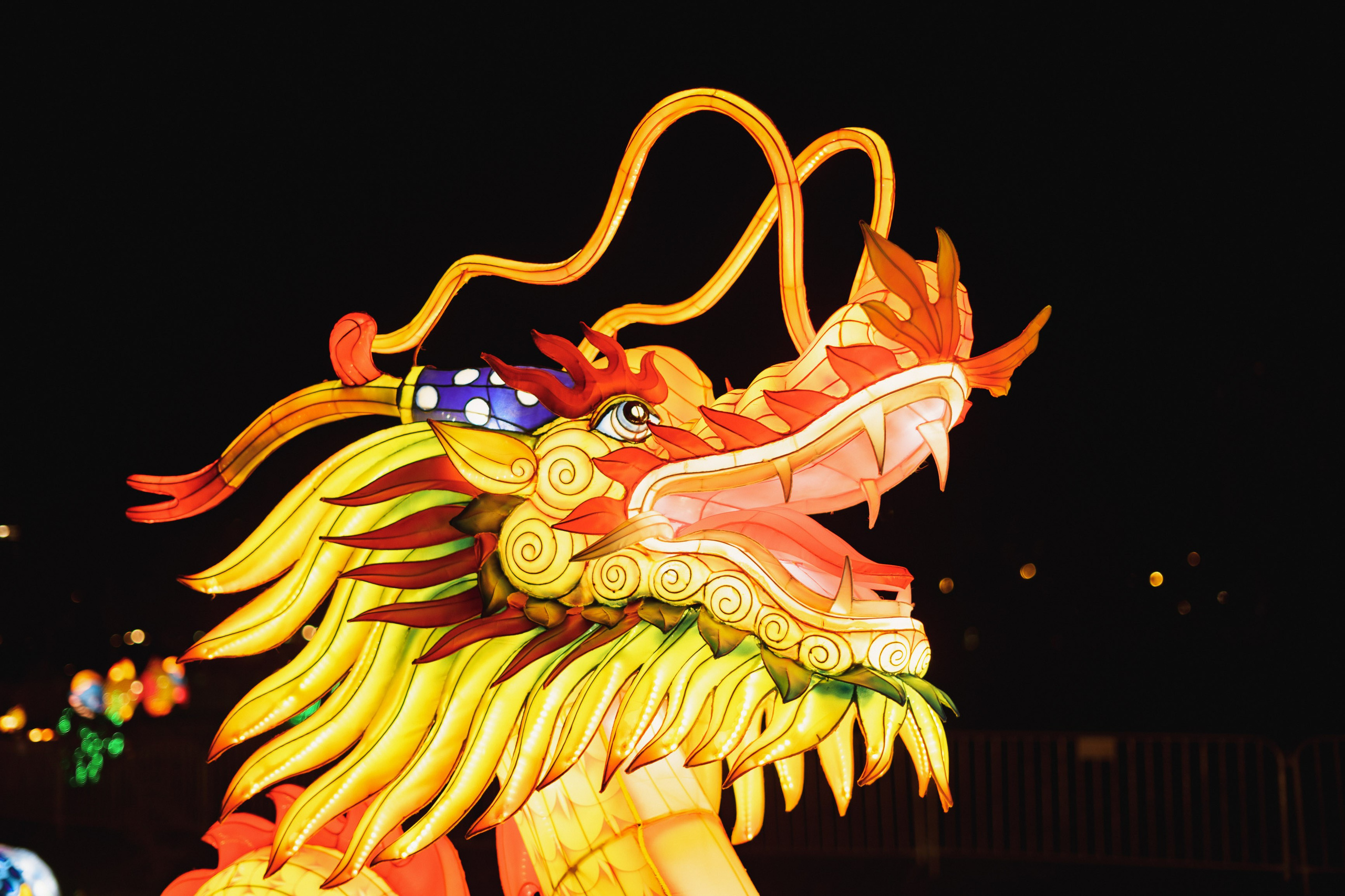 Svecano otvaranje Kineskog festivala svetla u Novom Sadu. Žukov Studio