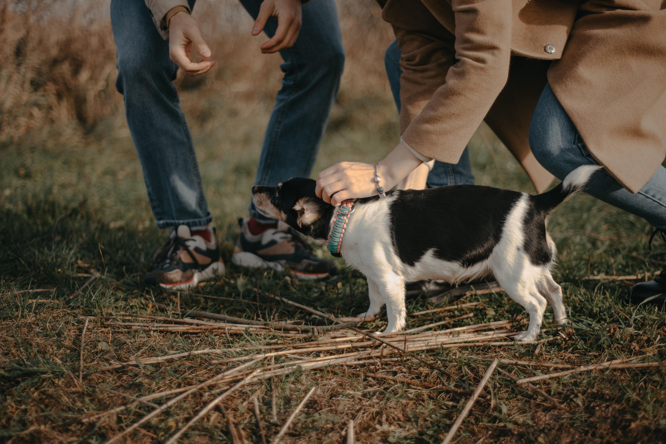 Aleksey & Polina love story. Фотографы Минск и мир