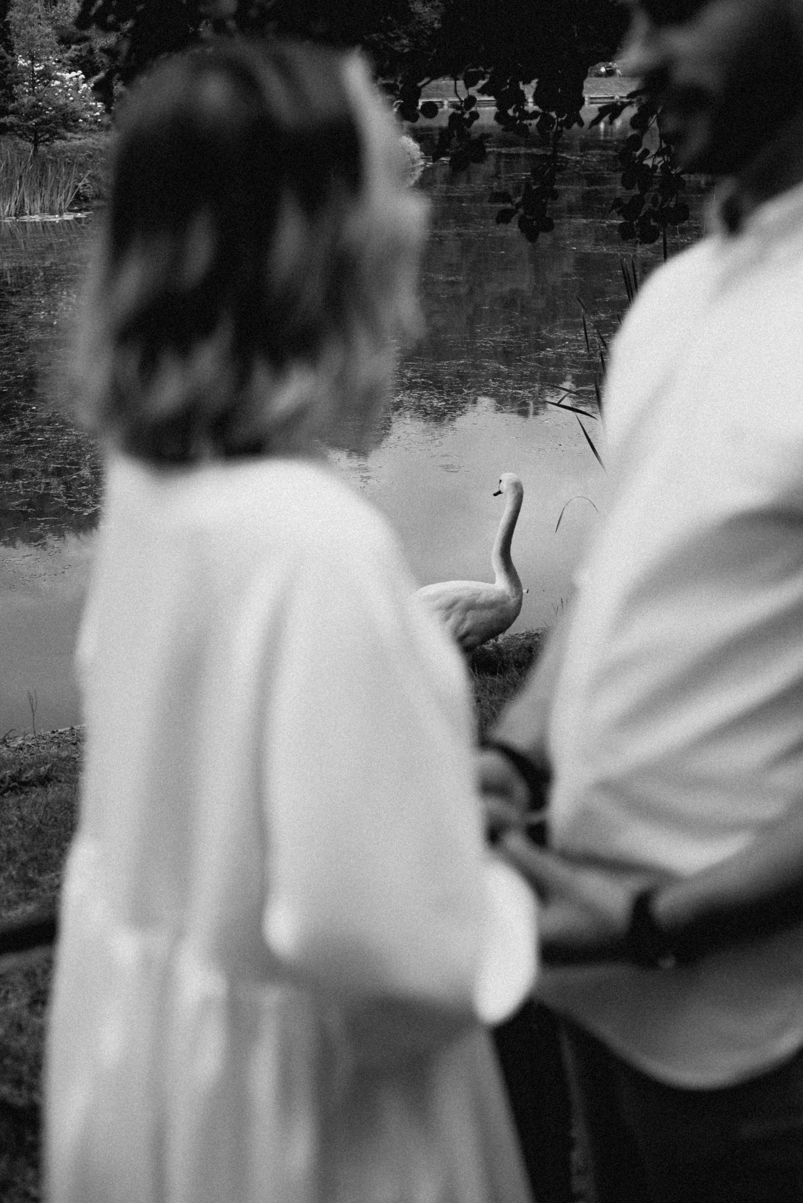 Alexandr & Veronika wedding day. Фотографы Минск и мир