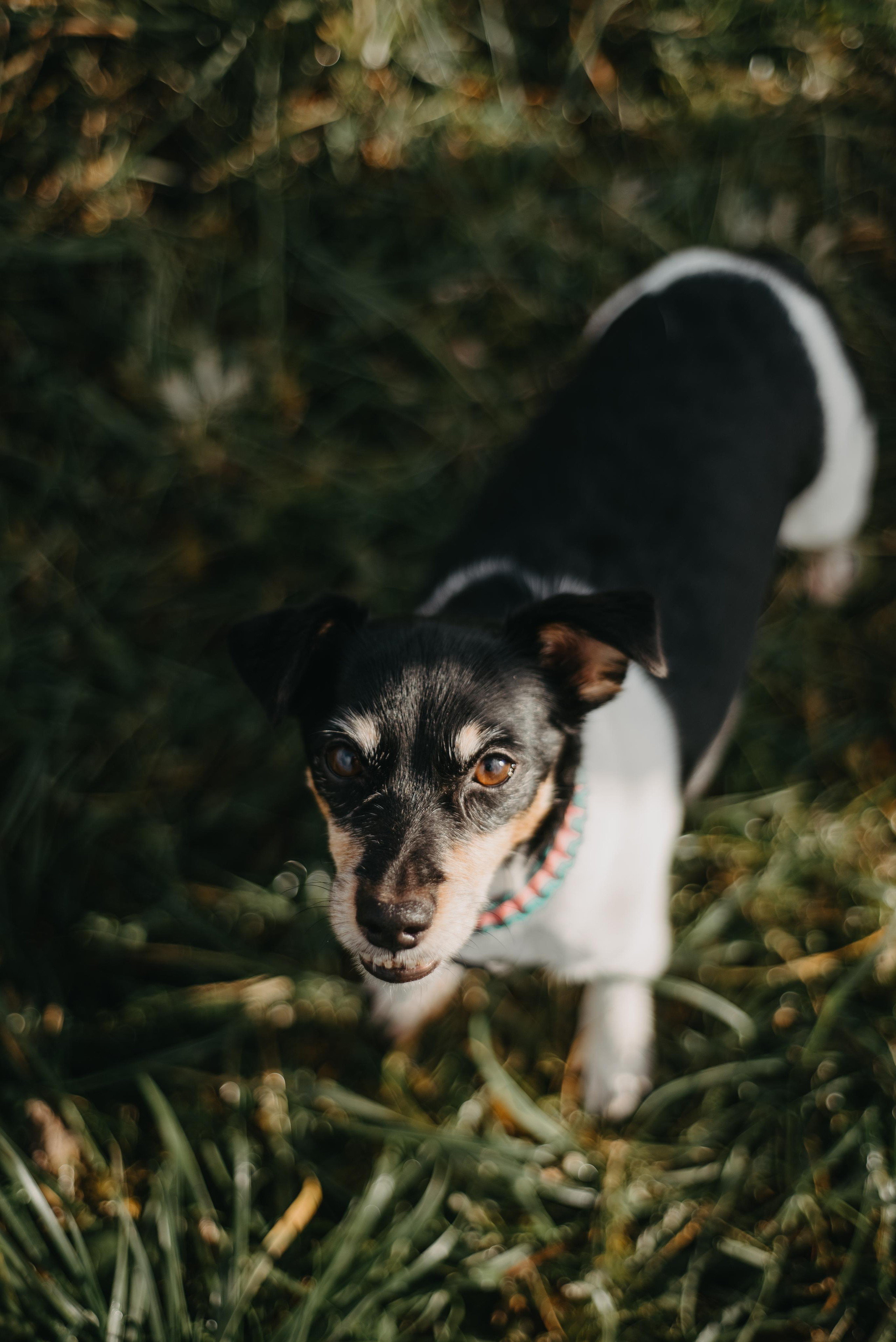Aleksey & Polina love story. Фотографы Минск и мир