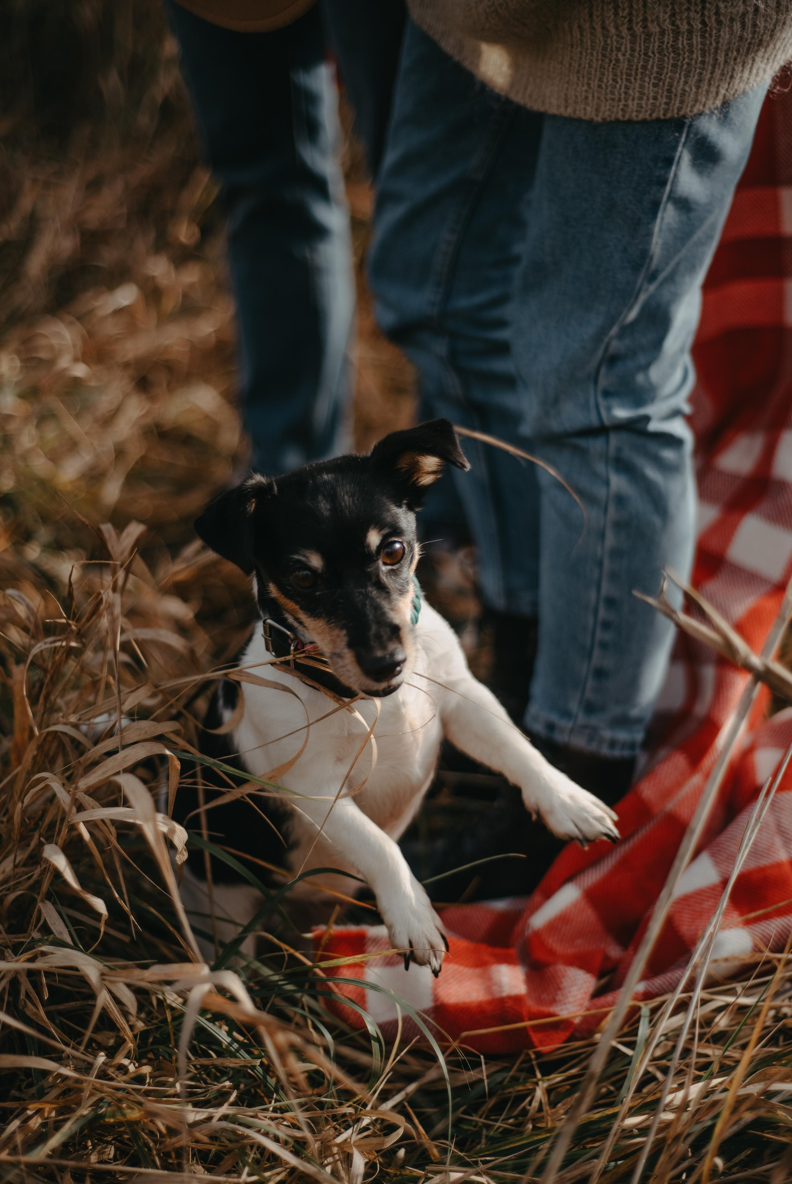 Aleksey & Polina love story. Фотографы Минск и мир