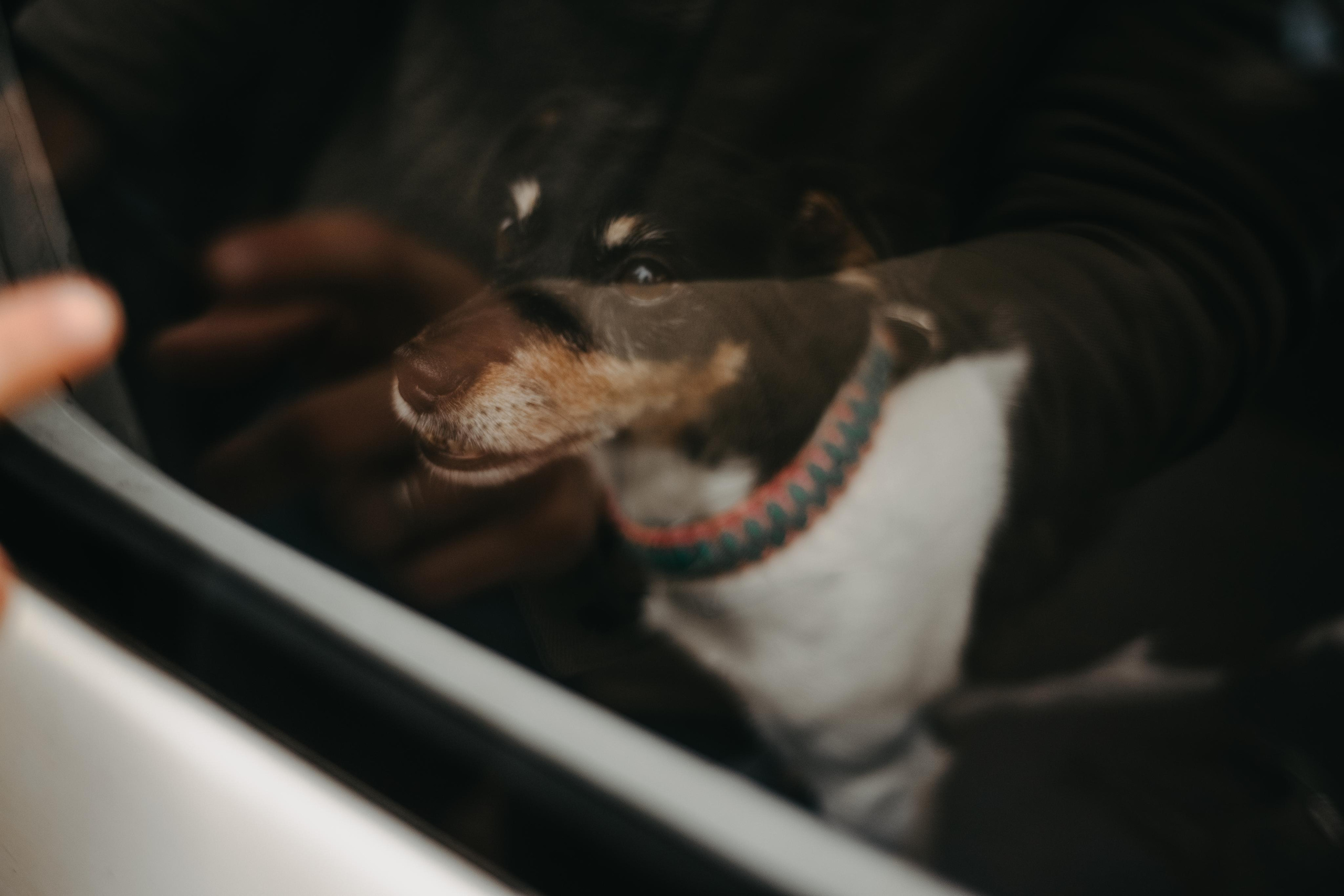 Aleksey & Polina love story. Фотографы Минск и мир