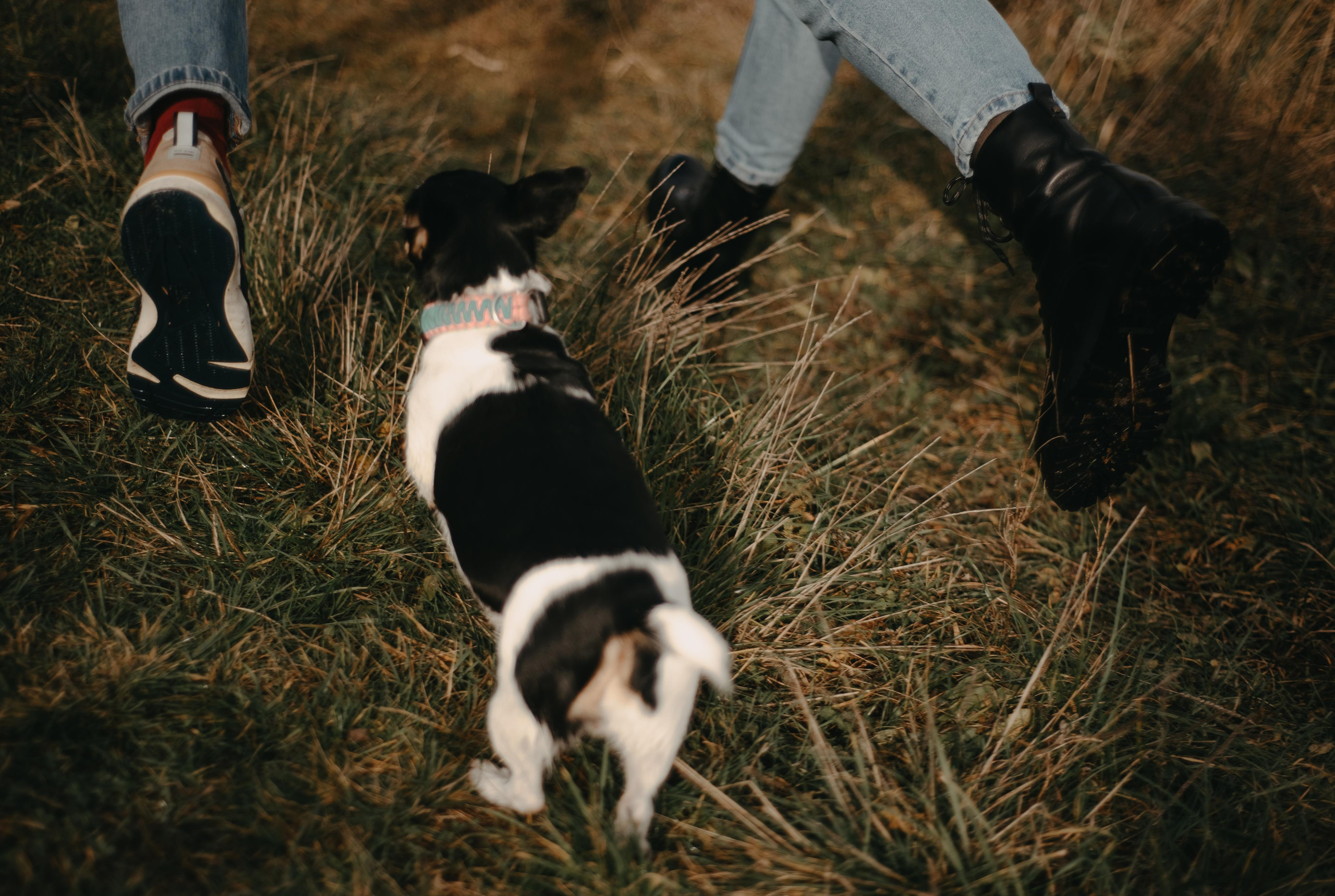 Aleksey & Polina love story. Фотографы Минск и мир