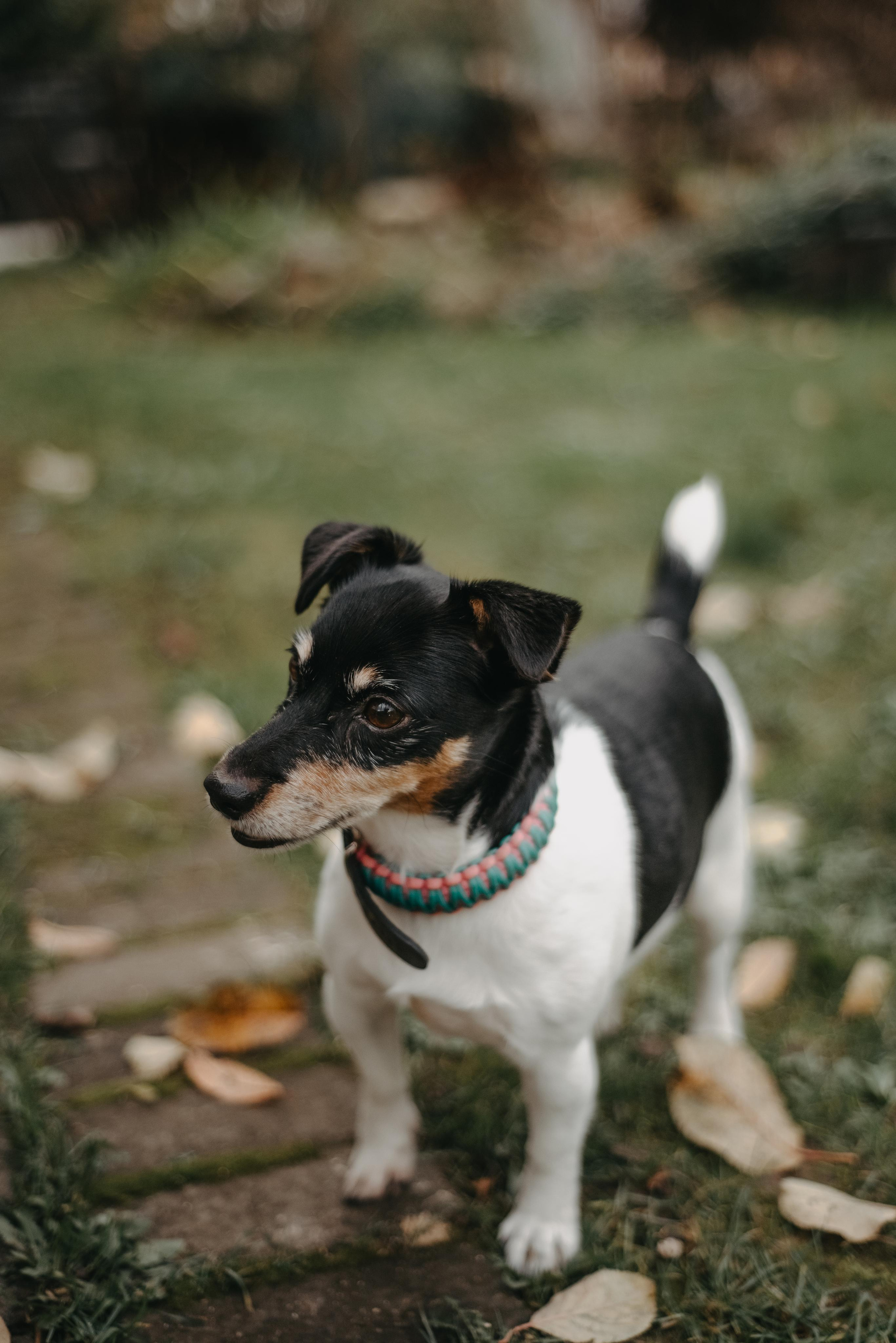 Aleksey & Polina love story. Фотографы Минск и мир