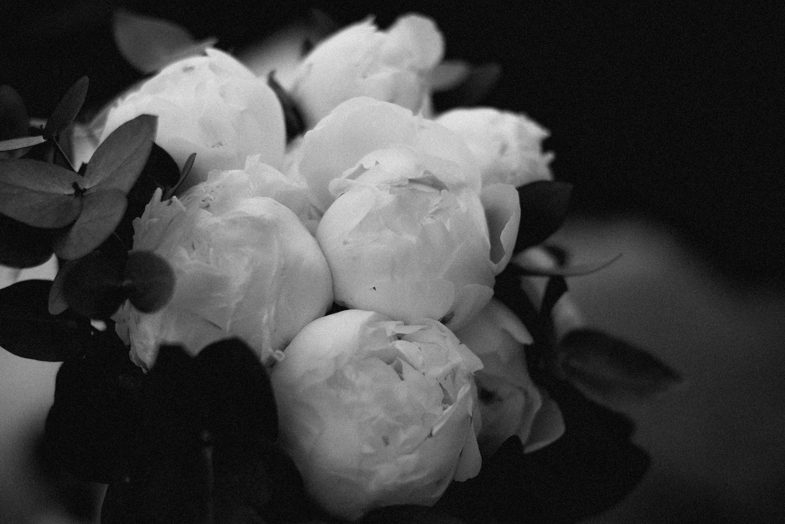 Alexandr & Veronika wedding day. Фотографы Минск и мир