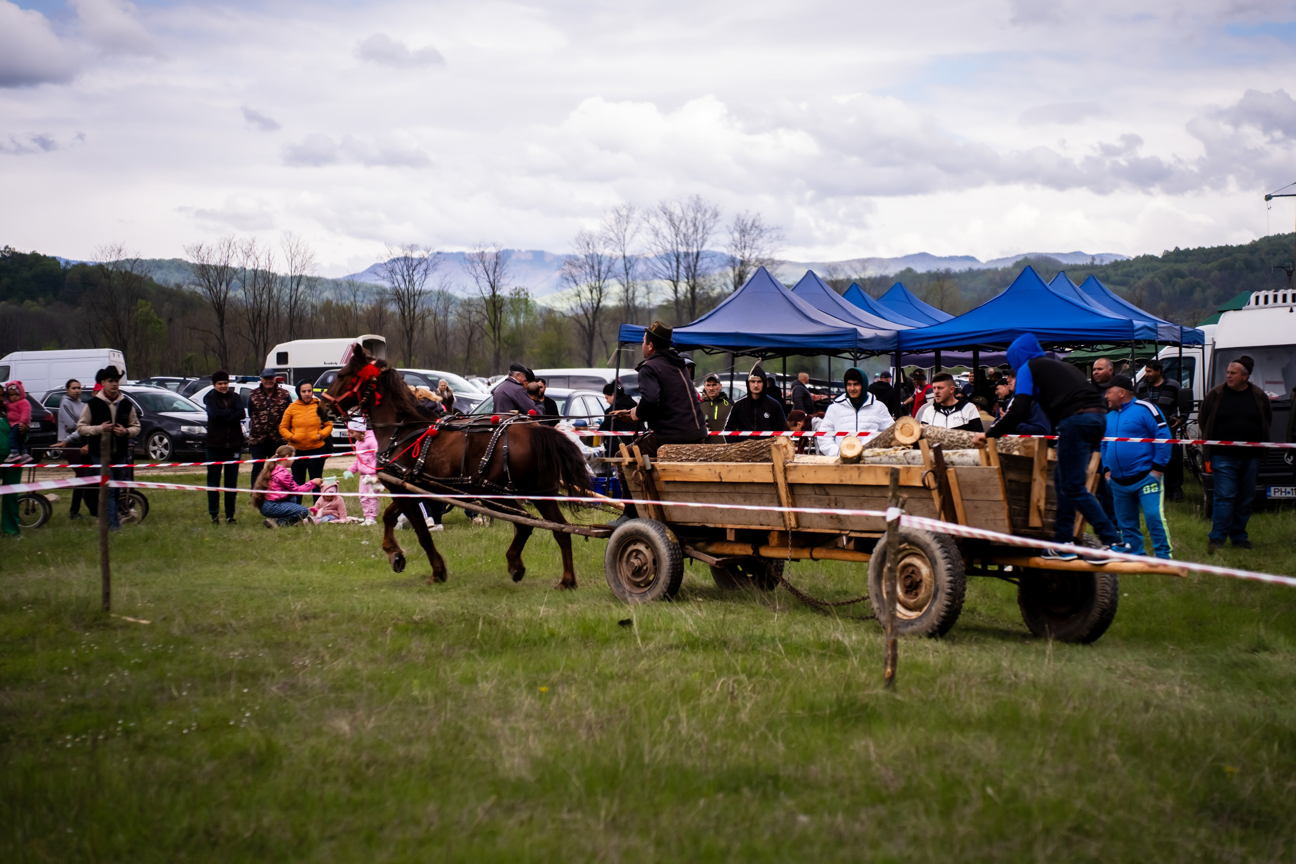 Concurs Ecvestru Vărbilău ediția a 4-a. Mihai Alexandra Events