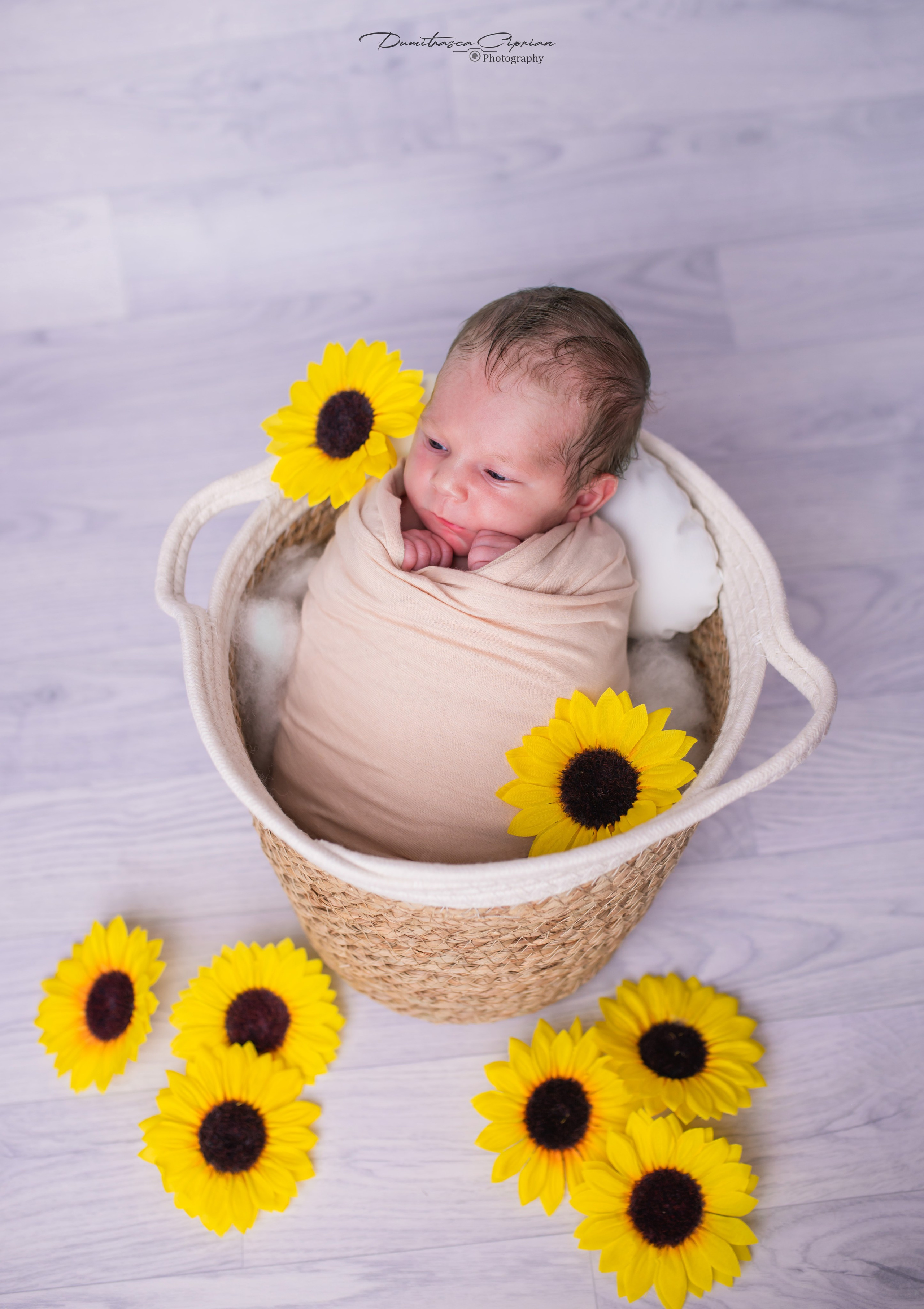 Little Sofia. Dumitrasca Ciprian Photography